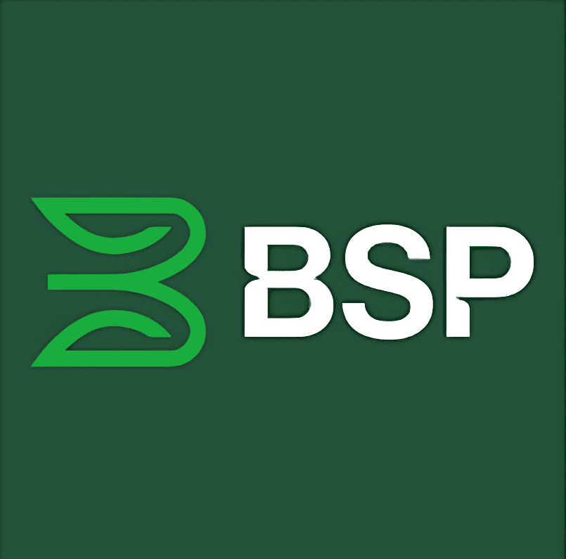 BSP - Bank of Your Business