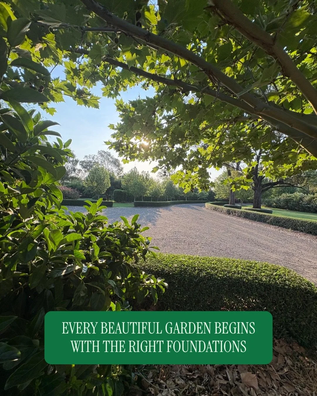 Before you choose a single plant, get these four things right:

🏡 Site conditions
☀️ Climate
🌱 Soil
💧 Water

Understand your garden first, and the right plants will follow 🪻
Because every beautiful garden begins long before the first plant goes i