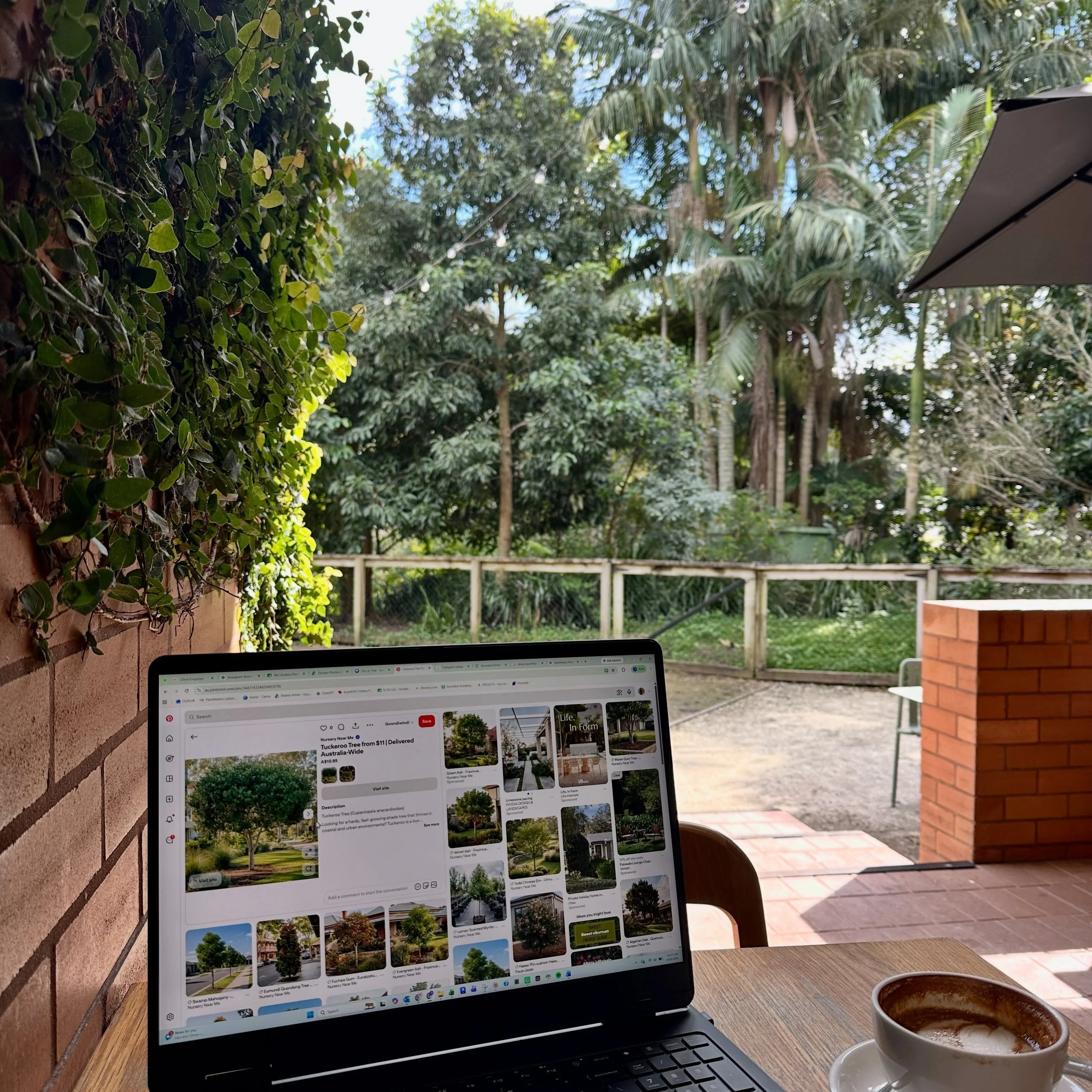 Good coffee. Fresh air. Green views. The perfect recipe for a productive morning ☕🌿🫶🏼

#GardenInspiration #AustralianGardens #OutdoorLiving #NatureInspired #SMGardenDesigns