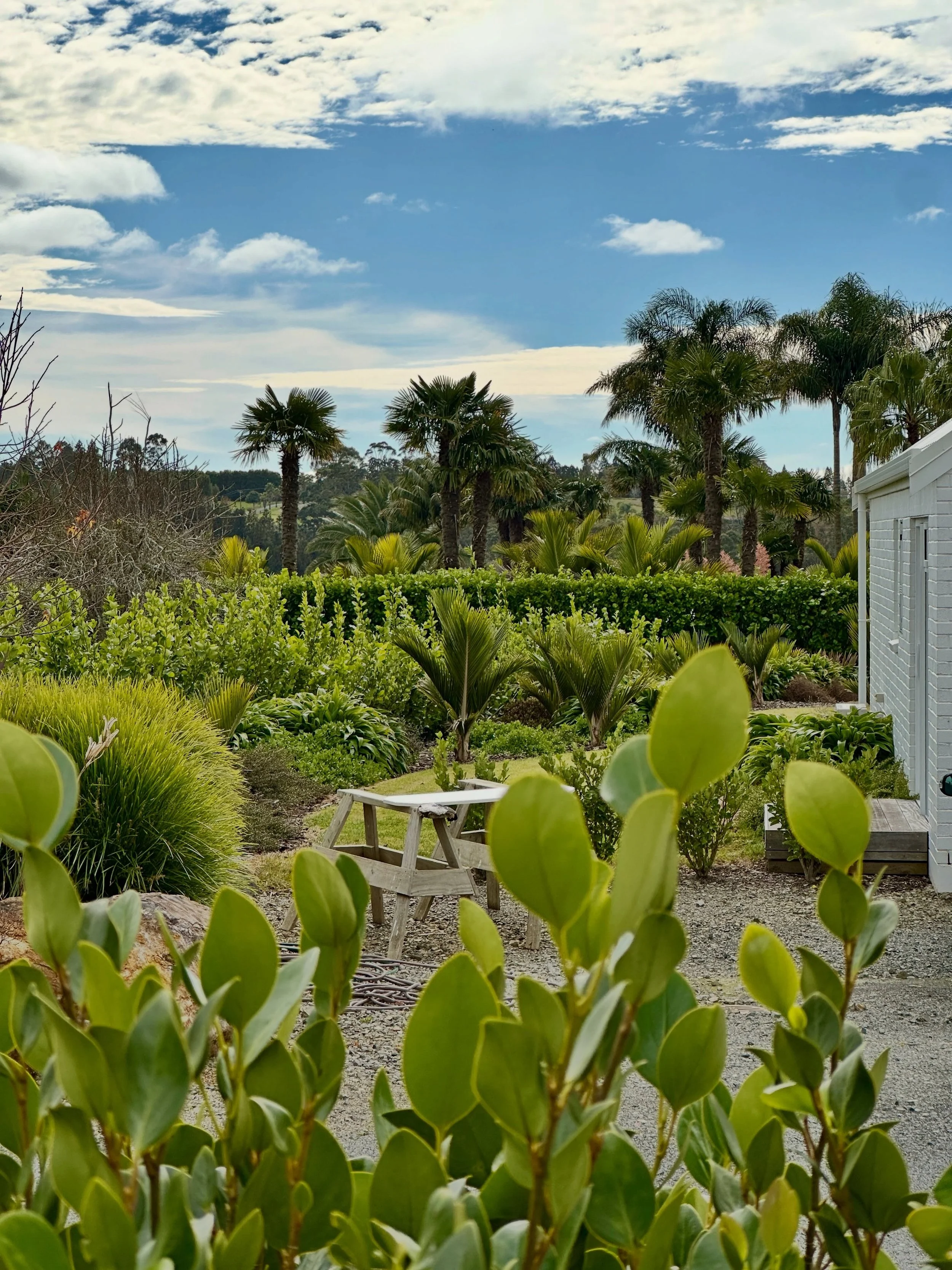 A few beautiful garden moments from Lauren&rsquo;s recent trip to New Zealand 🌿

There&rsquo;s something about the New Zealand climate that makes country-style gardens look so effortlessly lush, layered and full of life.

Hedges play a double role i