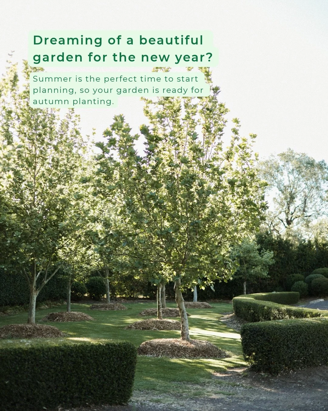 🌿 A new year, a new garden.

Planning a garden transformation for 2027? Summer is the perfect time to refine your layout and prepare for autumn planting.

At SM Garden Designs, we create gardens tailored to your climate, soil and growing conditions,