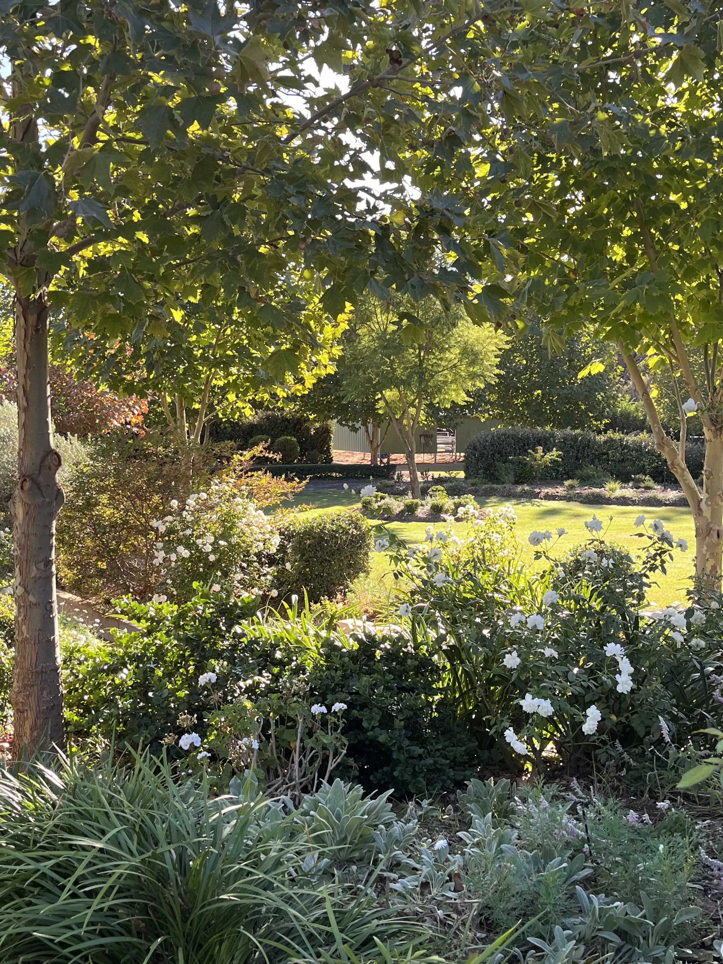 Lush garden with trees, flowers, and grass during daylight.