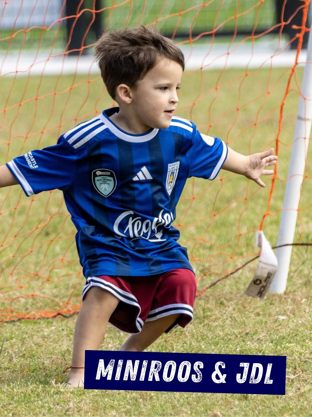 💙🤍 MINI ROOS &amp; JDL HUB DAY 🤍💙

What a fantastic day at our Mini Roos &amp; JDL Hub on Saturday!

It was great to see so many young players out enjoying their football, developing their skills, and playing the game with big smiles on their fac
