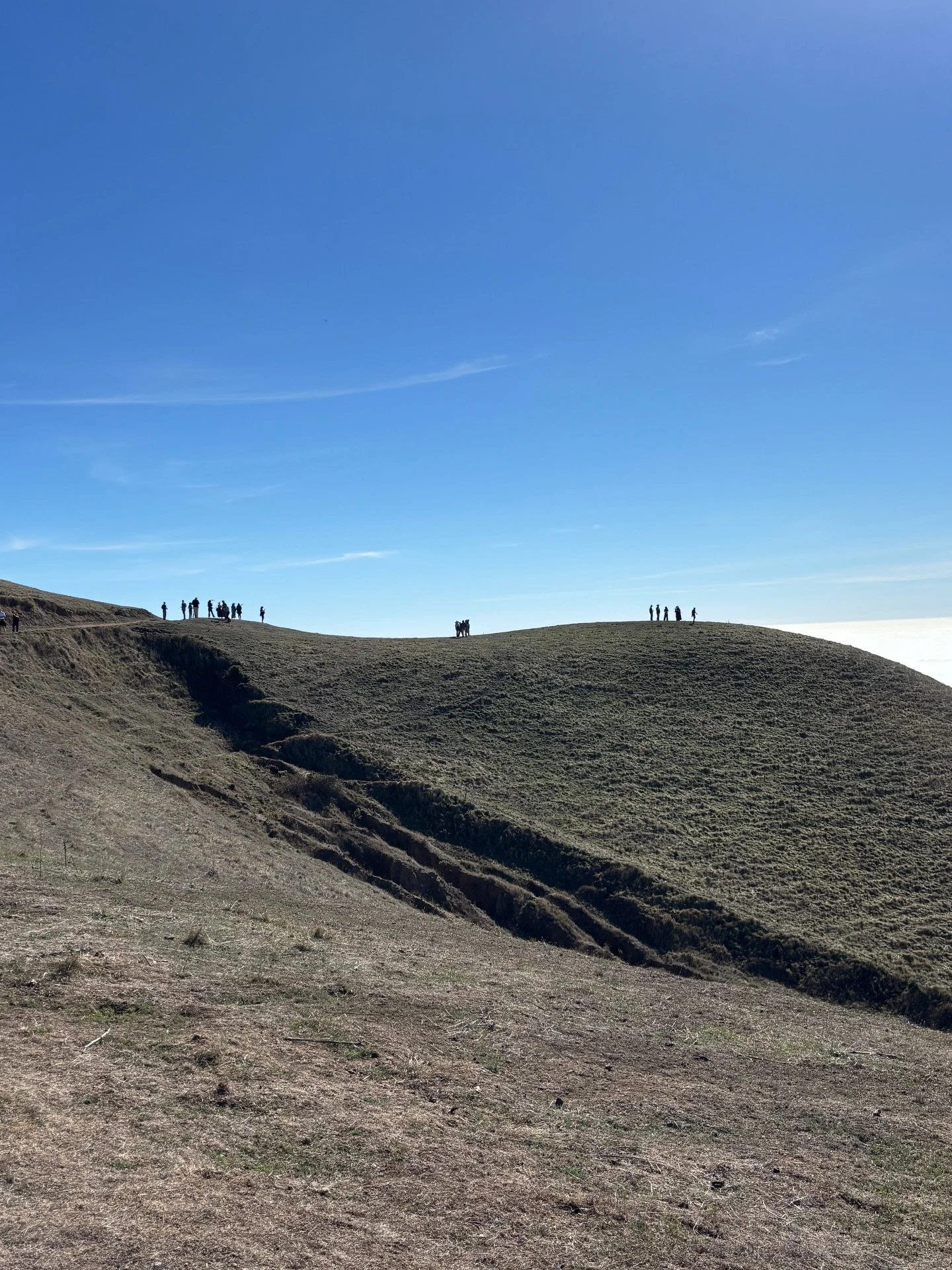 Thoughts On the Year Part 1:

&ldquo;It&rsquo;s been a weird year. That statement rings true about the weather, our socioeconomic rollercoaster and the goings-on in my life. It&rsquo;s been weird all around.
There&rsquo;s an air of finality to the gr