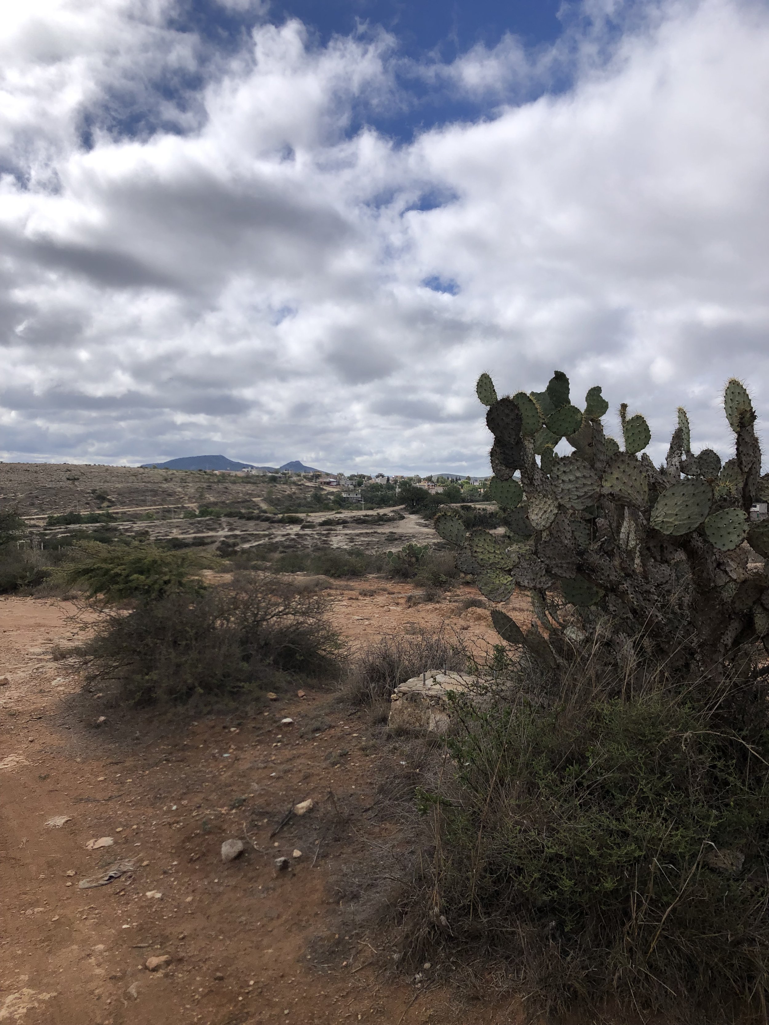 Hiking view.jpeg