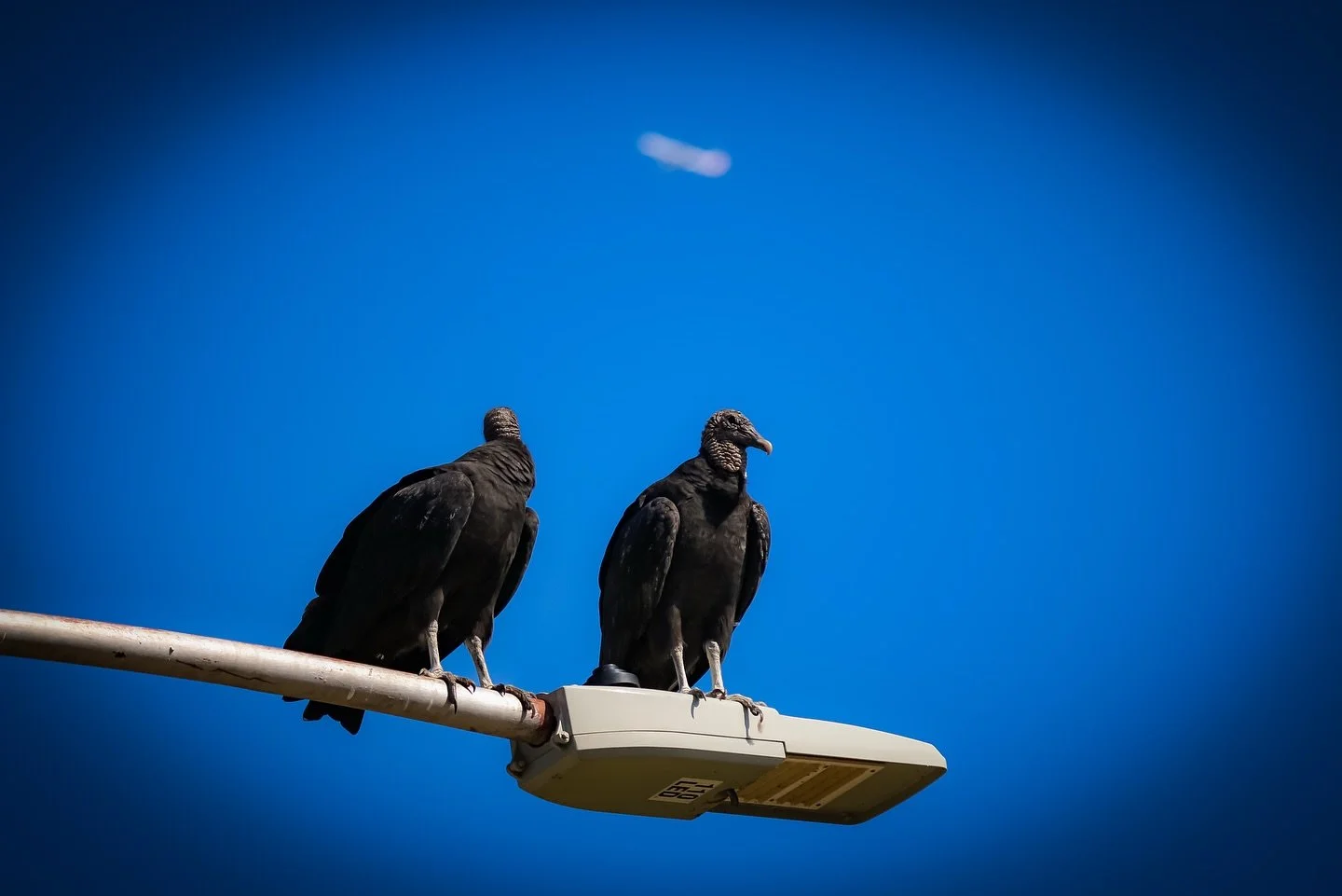 Trinity Trails - Fort Worth, Texas