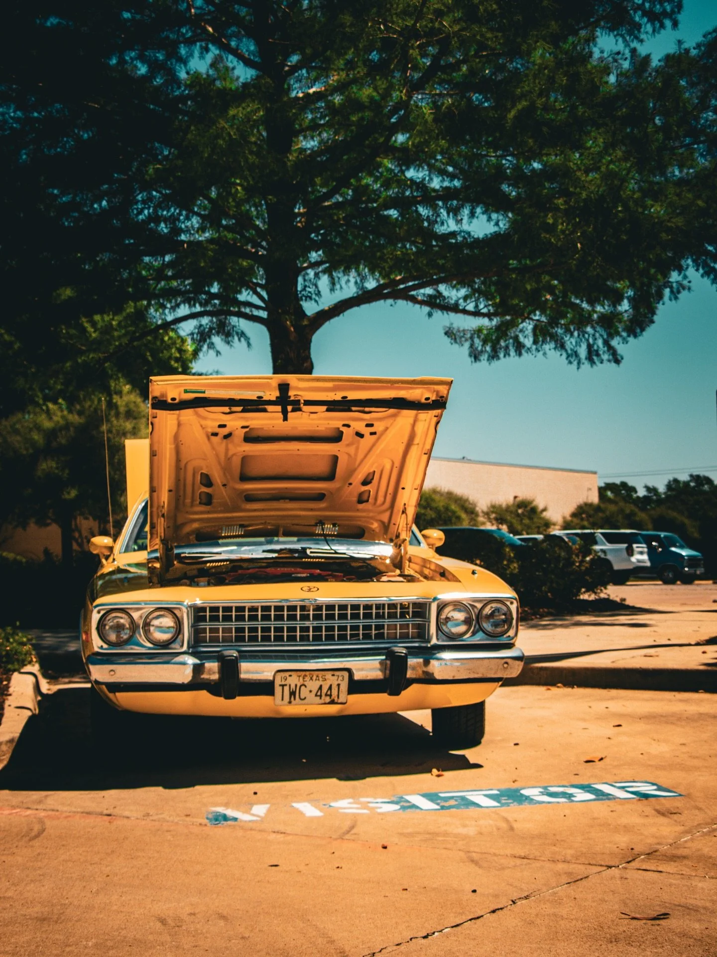 Tom&rsquo;s 2026 Classic Cars and Coffee Show

@blackcoffeefw 

- Fort Worth, Texas