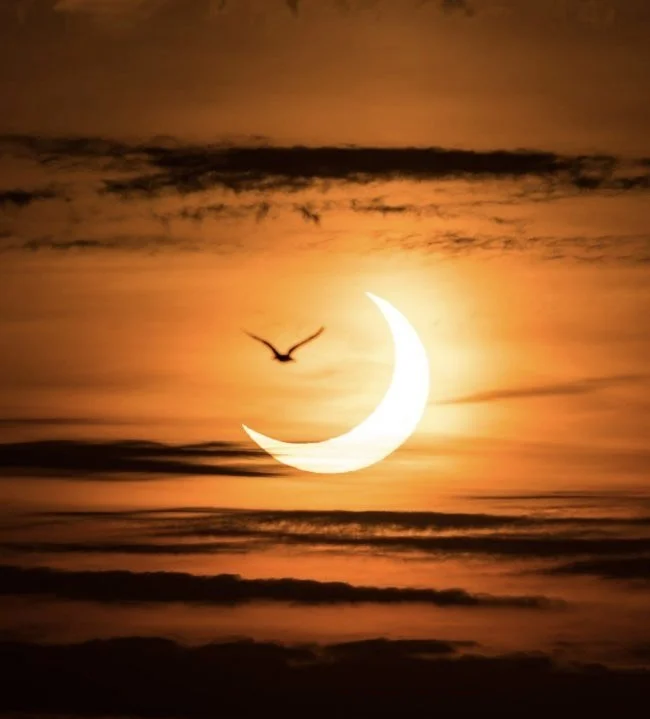 Eclipse Equinox Potluck and Live Music