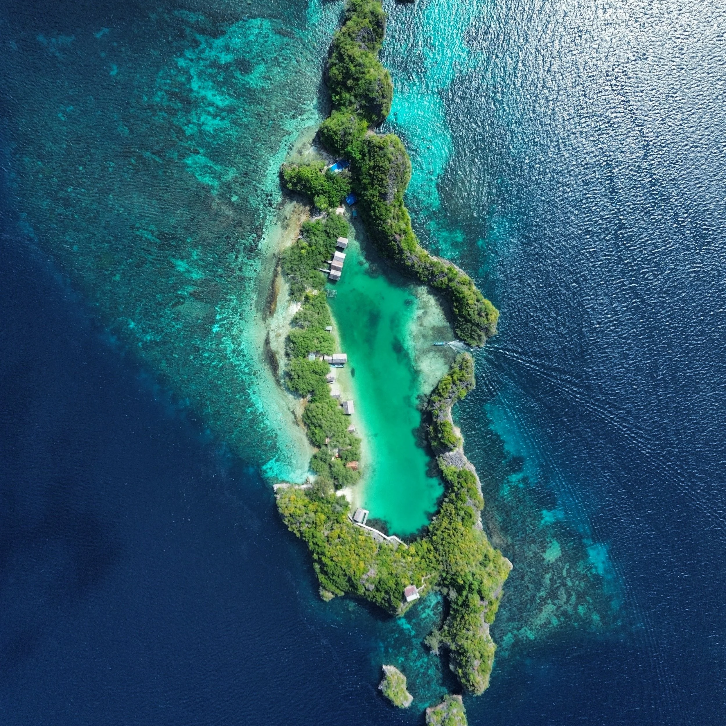 Bonnes adresses en Asie 🎒