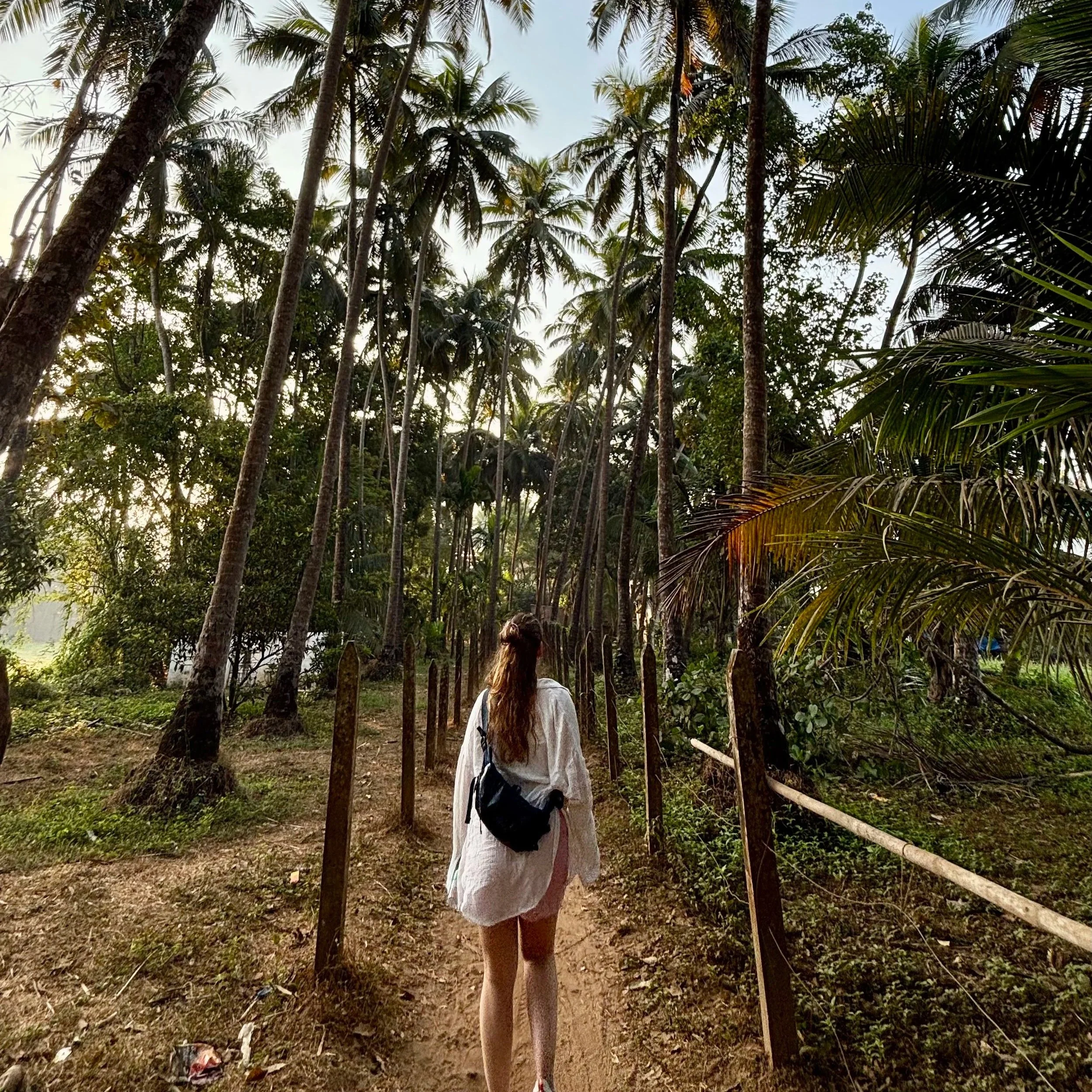 Le sud de l’Inde en trois mois : Kerala, Goa et quelques leçons de voyage