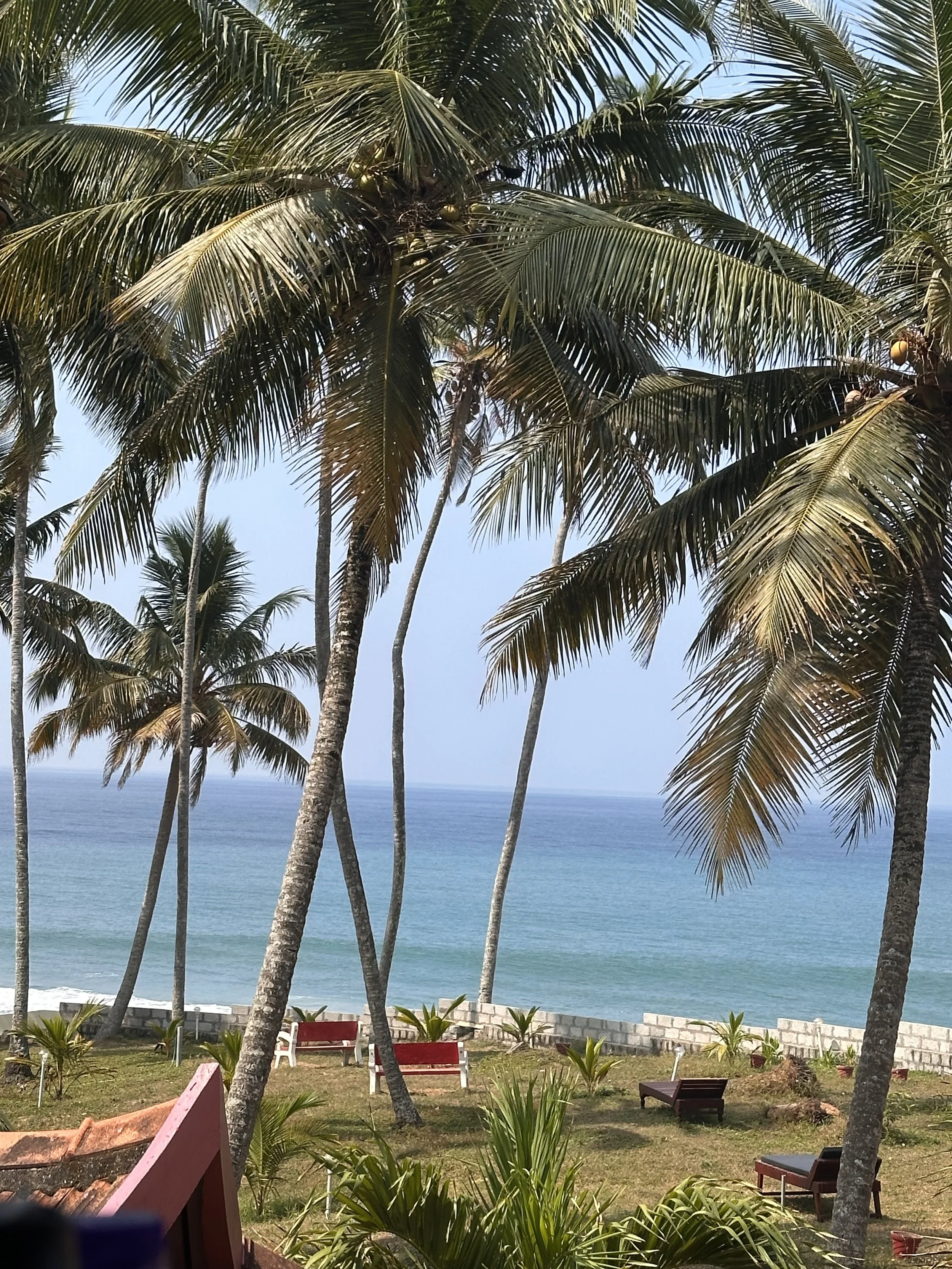 IMG_1080.jpeg