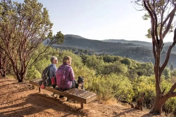 Two older women sitting on a park bench overlooking a hilly, wooded landscape with two dogs.