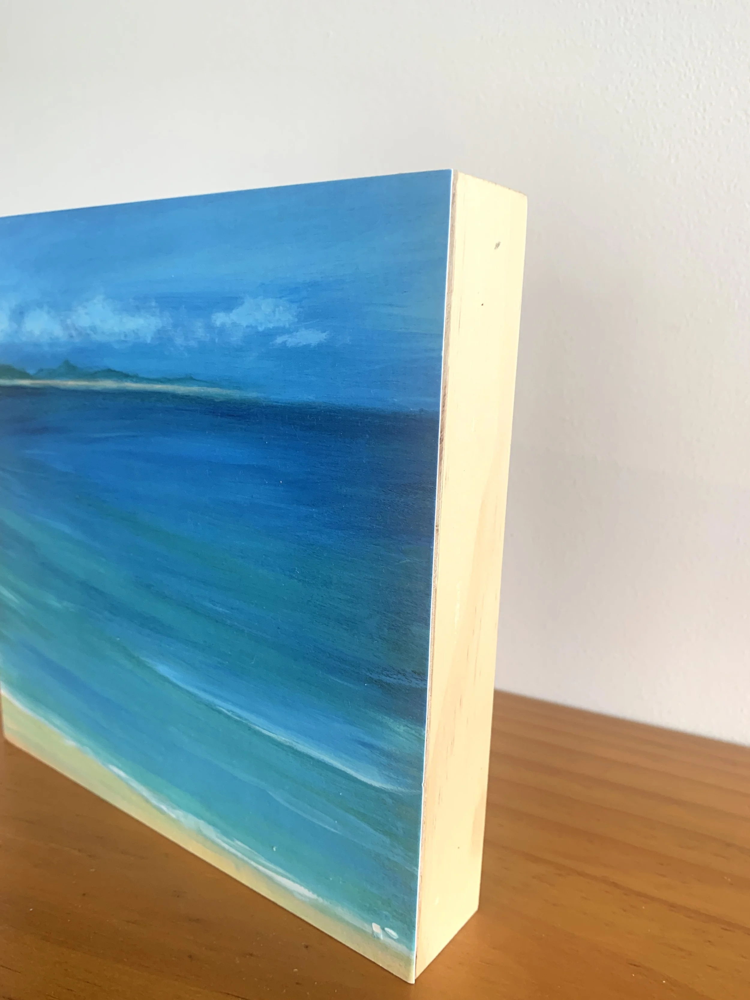 The Bay Lynette Tyrrell side view 2.jpg