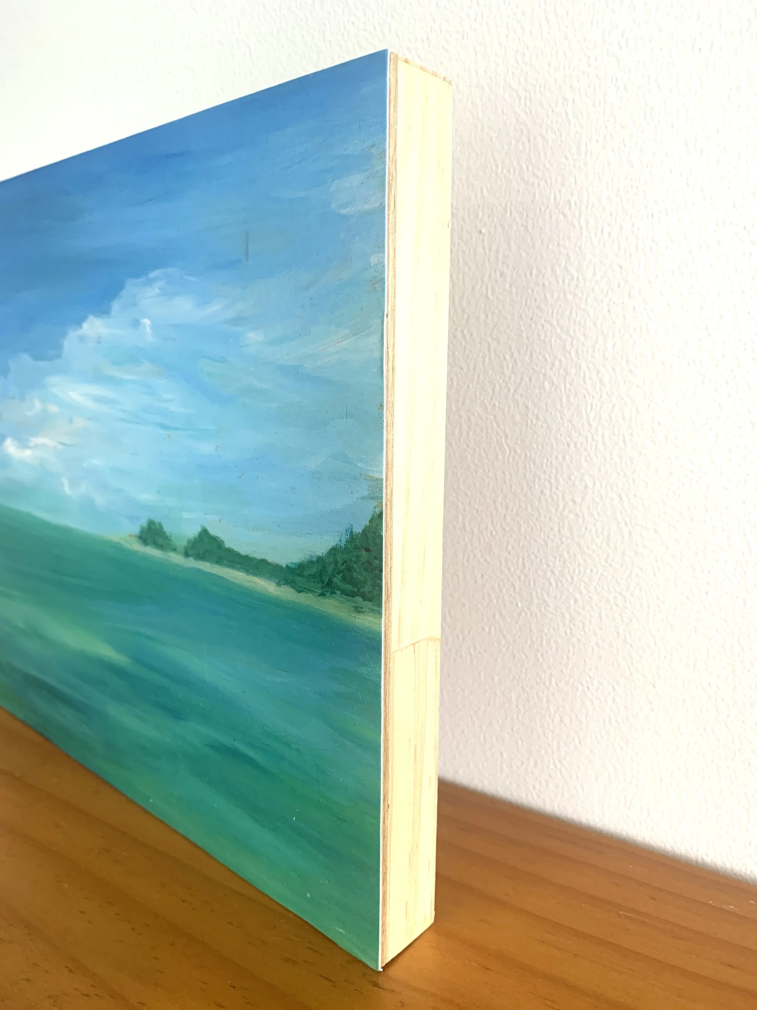 The Pass Byron Bay side view Lynette Tyrrell.jpg