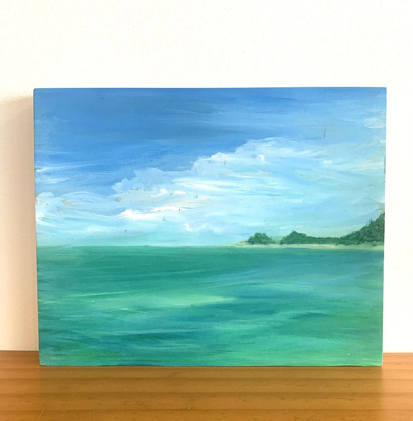 The Pass Byron Bay Lynette Tyrrell webpage.jpg