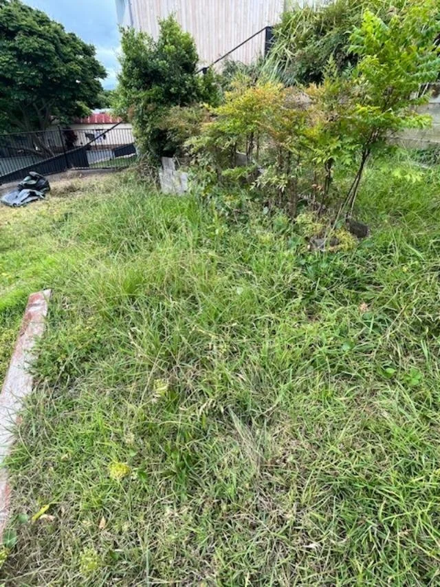 hopkins st before.jpg