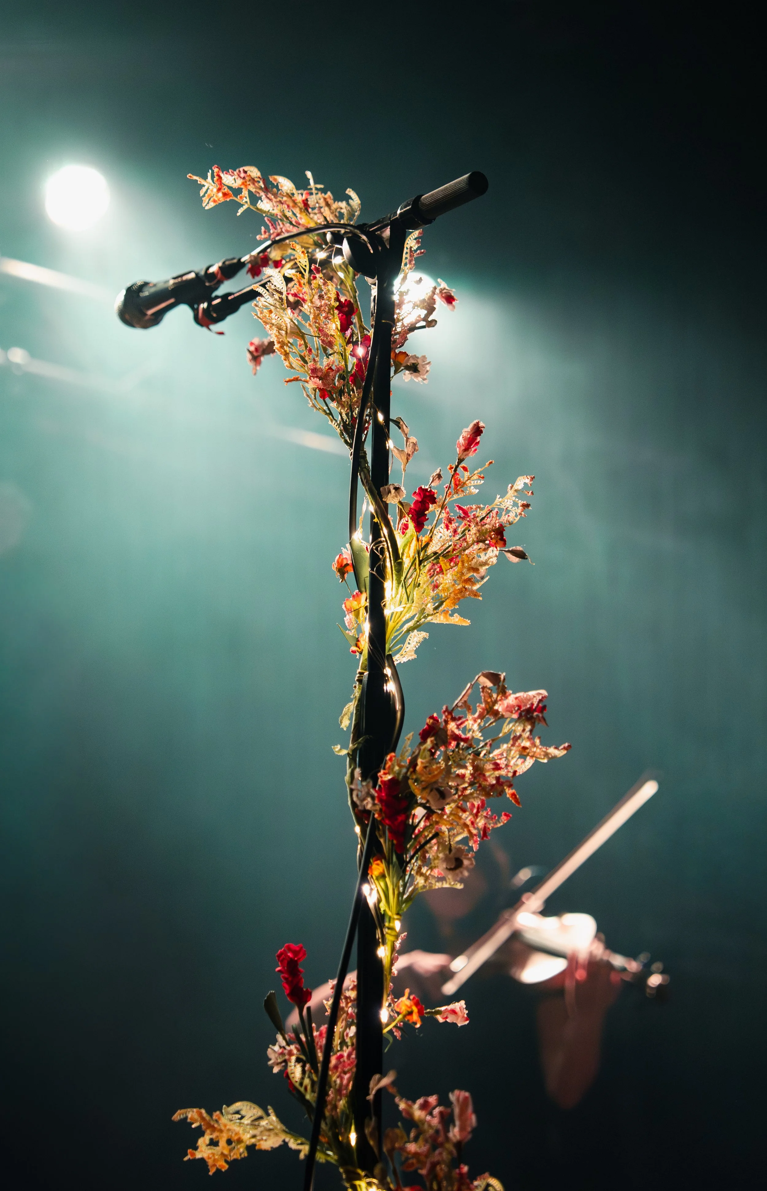 11-21_SYDNEY ROSE BOSTON FINAL_CASSIEMVISUALS-10.JPG