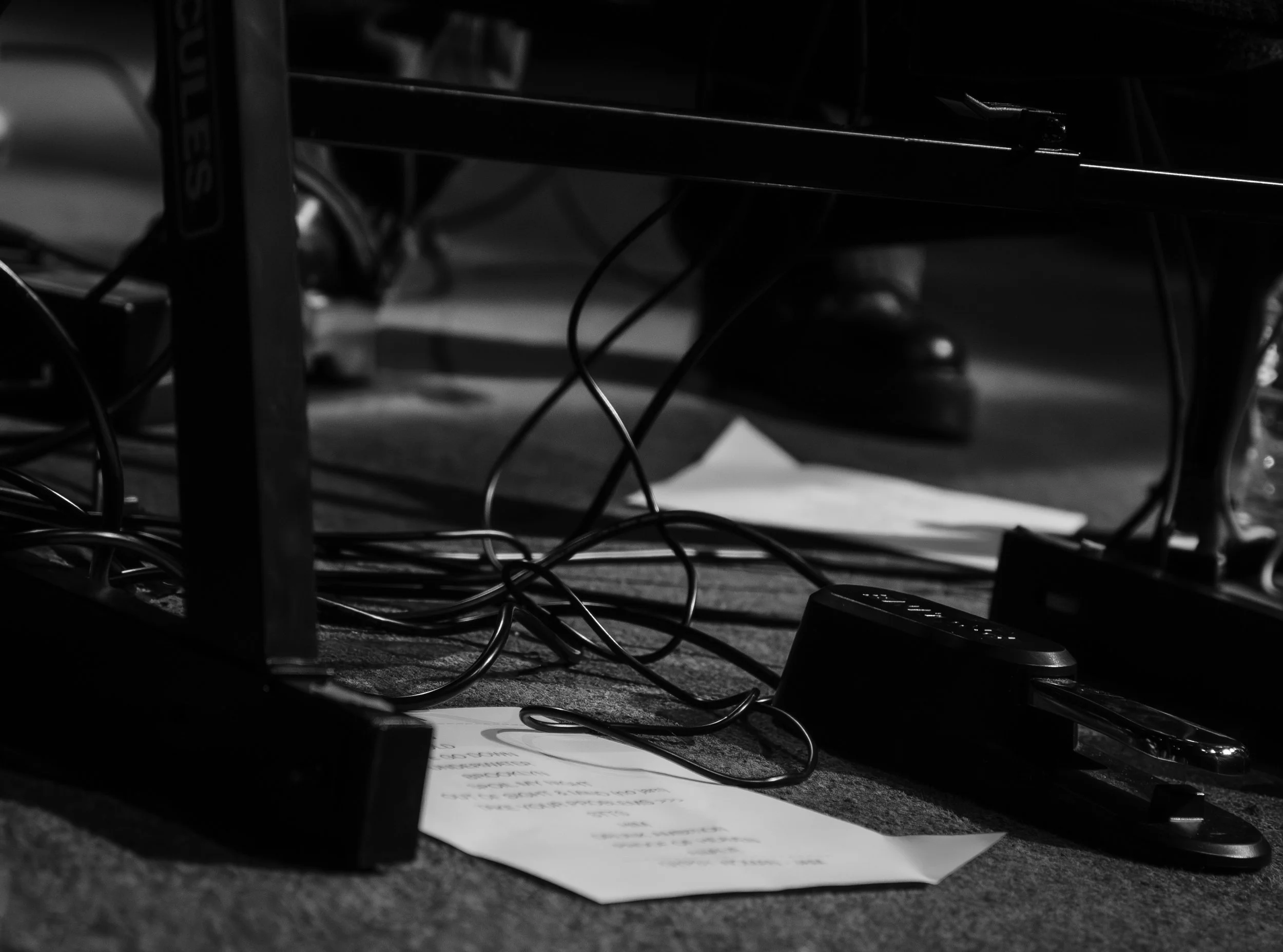 STOLEN GIN BOSTON_CASSIEMVISUALS_19.jpg