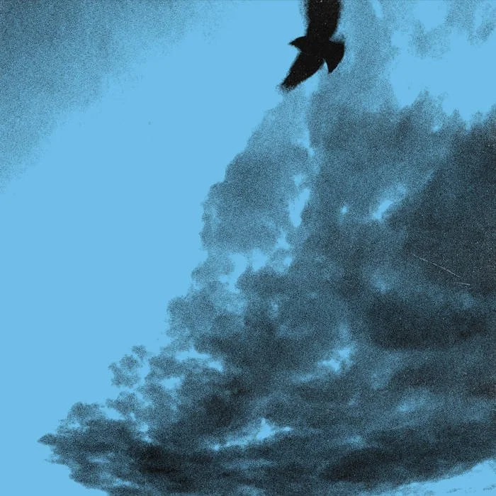 PINKSHIFT COMMUNE WITH NATURE IN NEW SINGLE, “SNOW”