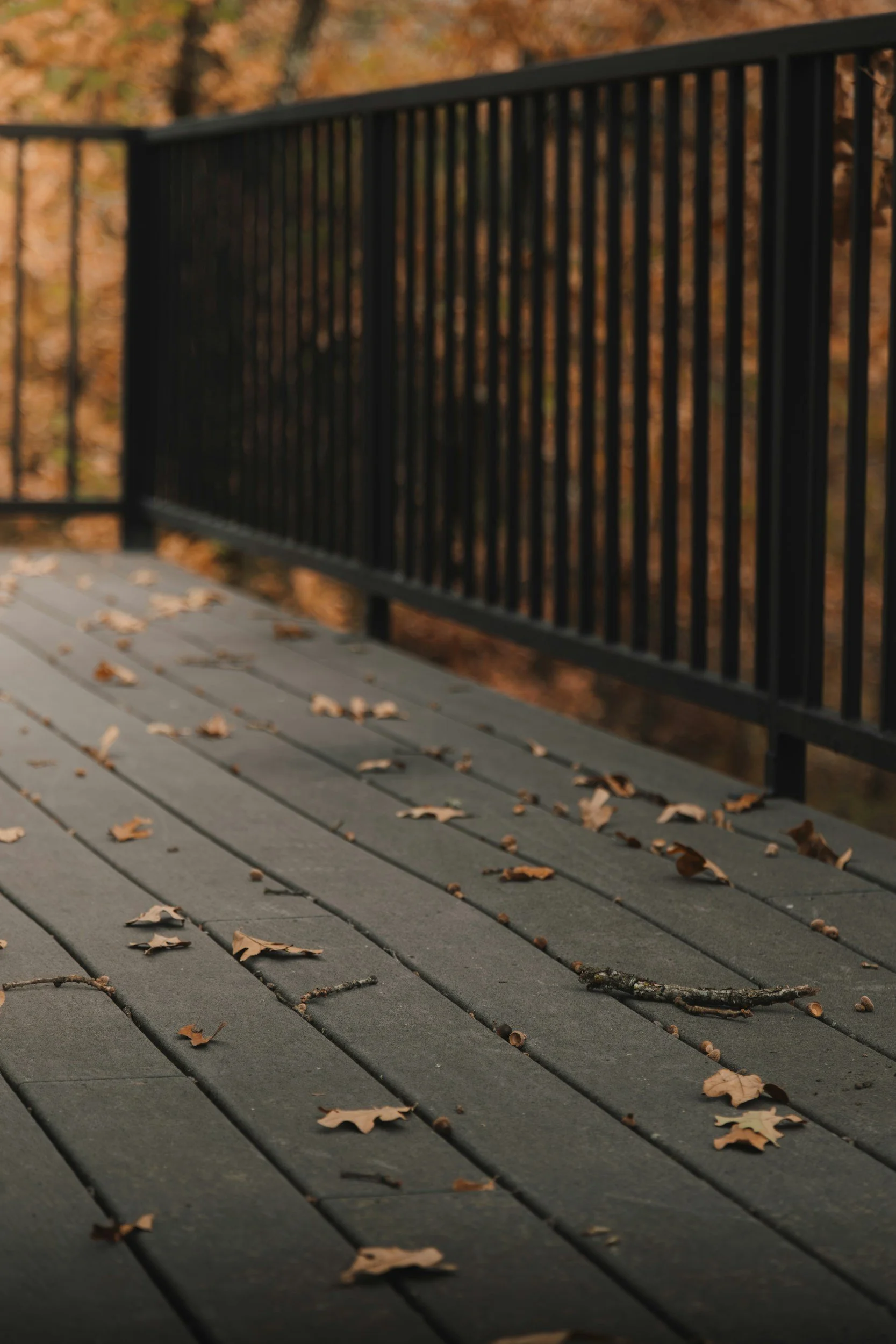Gray wooden deck with scattered brown leaves and acorns.