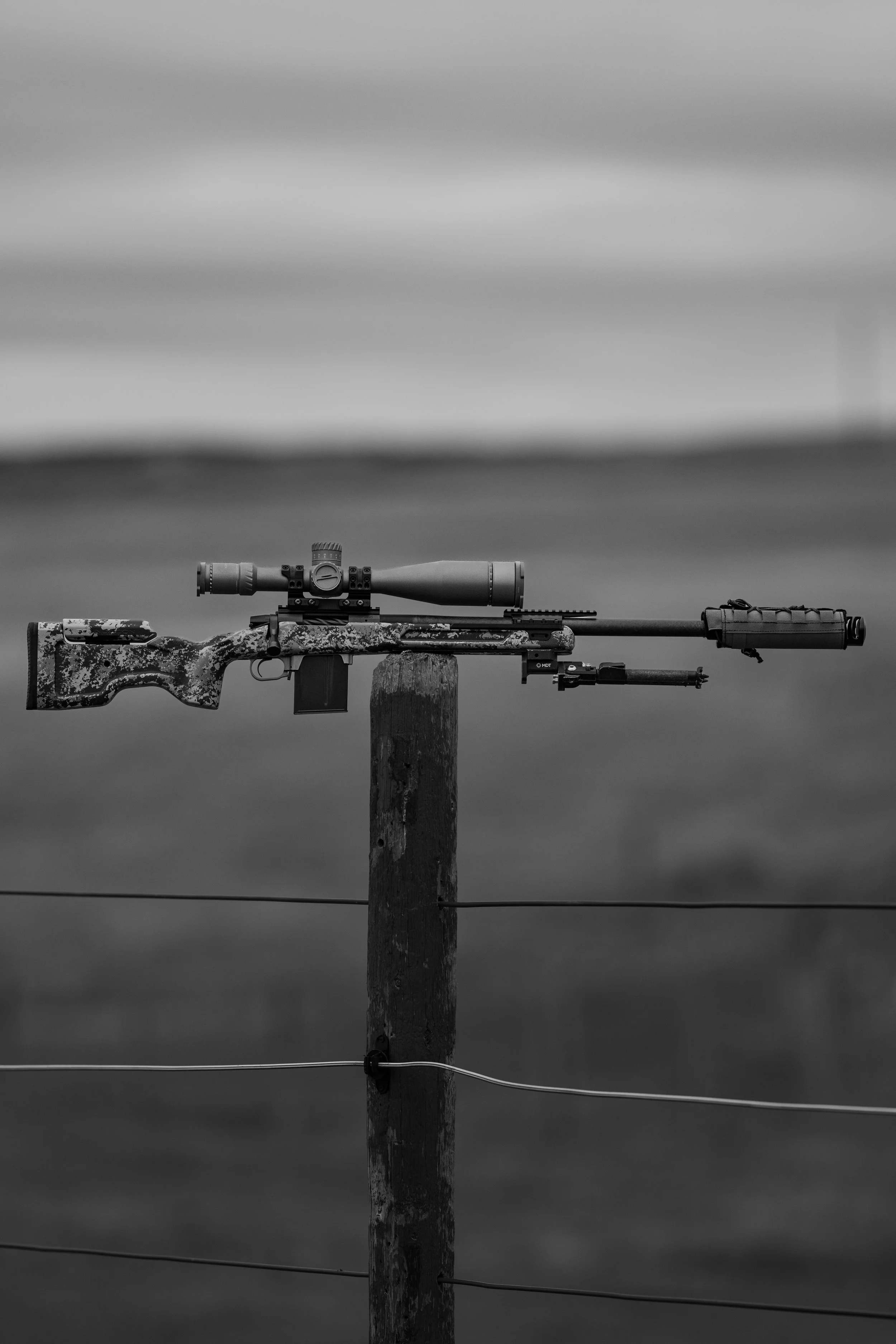 DSC_6441.jpg