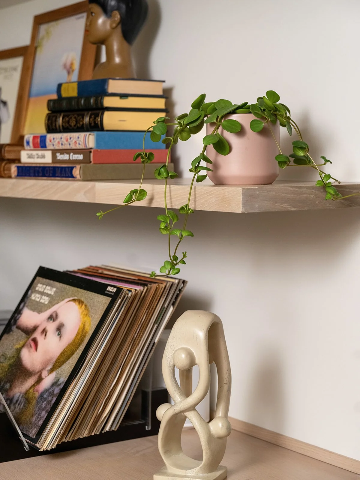 A wooden shelf with books, a plant in a pink pot, and a sculpture, with a vinyl record collection in the foreground. Seattle, Queen Anne, Basement, Remodel.