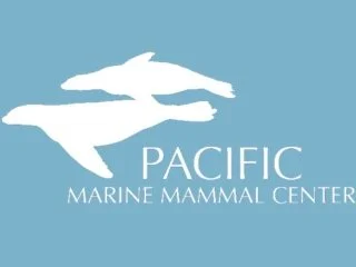 Screenshot 2025-03-29 at 9.51.08 AM.jpg