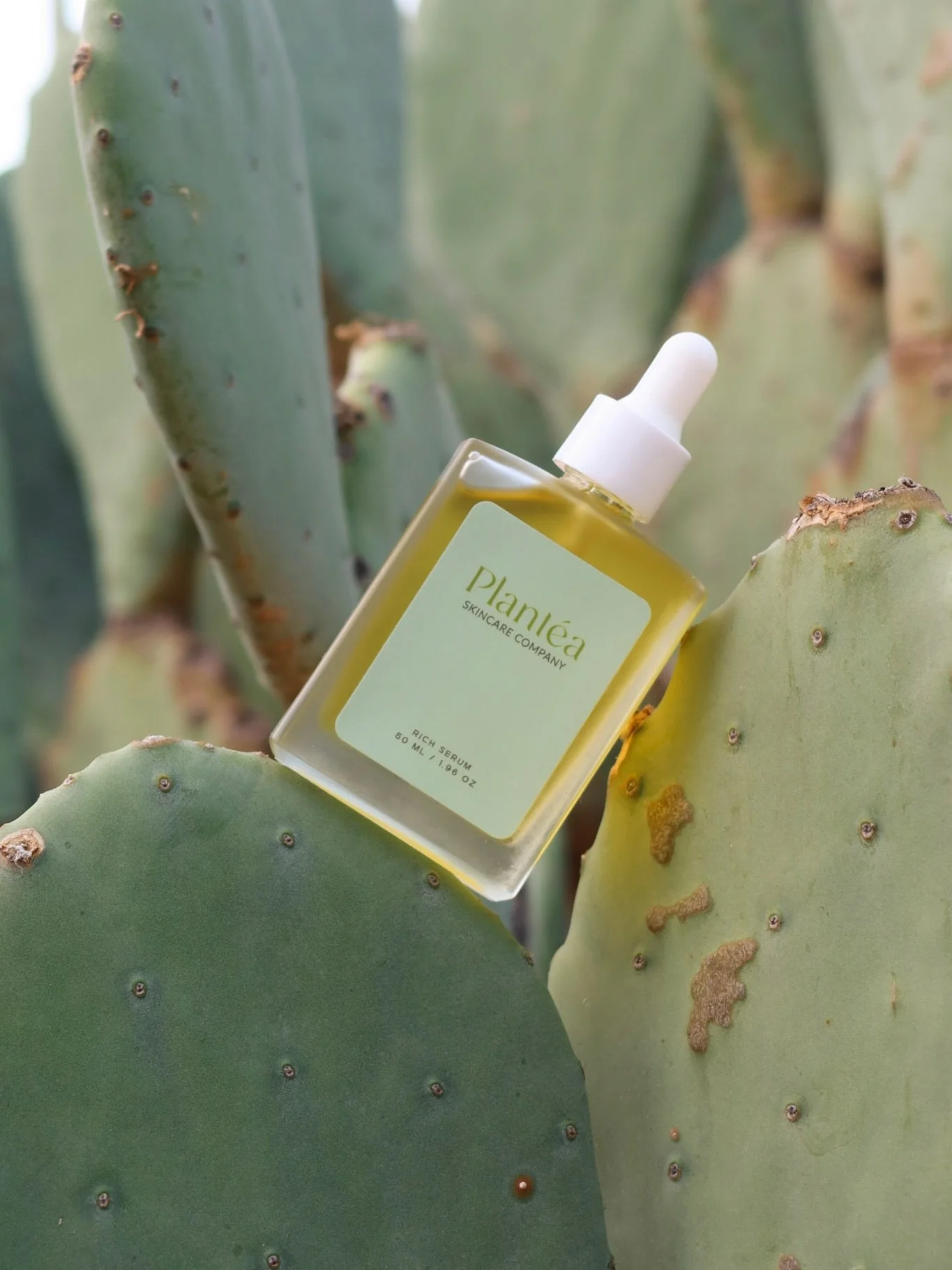 January skin needs extra love.

Our Rich Serum deeply hydrates, calms winter dryness, and restores your natural glow with nourishing botanicals like jojoba + calendula.

Shop the winter skin essential on our website or on Amazon!

#skincareroutine #s