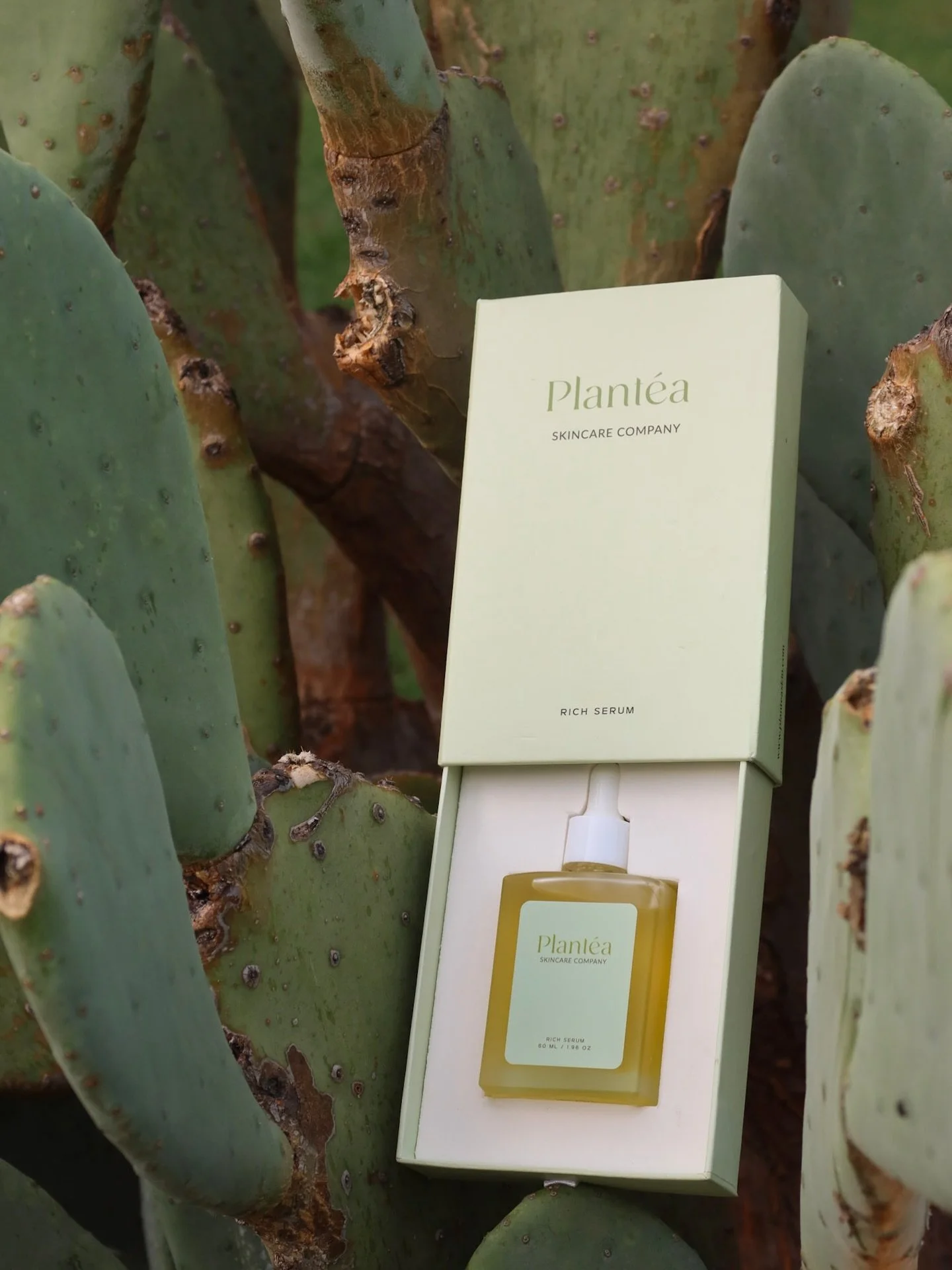 Winter skin vs. Rich Serum. Guess who wins? 🤍

Rich Serum nourishes, restores, and protects, leaving skin soft and glowing. Not just oil&hellip; confidence in a bottle🌵