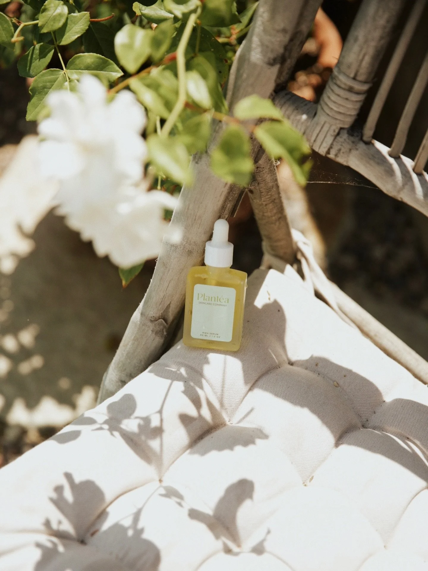 February glow = Rich Serum 🌵

Lock in moisture, restore your skin barrier, and wake up soft, calm, and radiant.

Your winter-skin ritual starts tonight 🤍