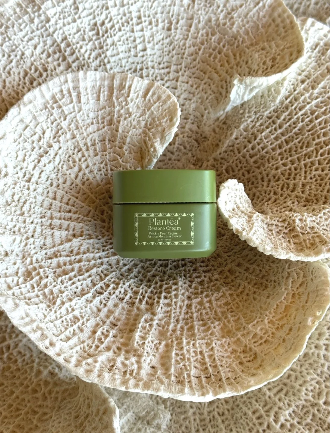Summer skin starts with hydration ☀️🌵

Plant&eacute;a keeps your skin soft, calm, and glowing wherever summer break takes you ✨
