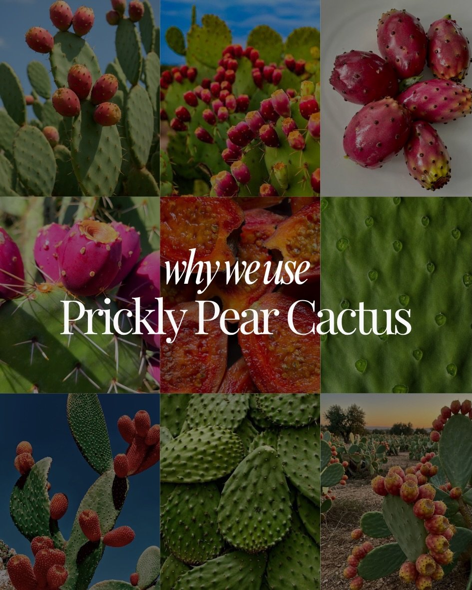 Why do we use prickly pear cactus in our products? 🌵✨
It&rsquo;s one of nature&rsquo;s best ingredients for calm, radiant skin, which is exactly why it&rsquo;s at the heart of Plant&eacute;a.