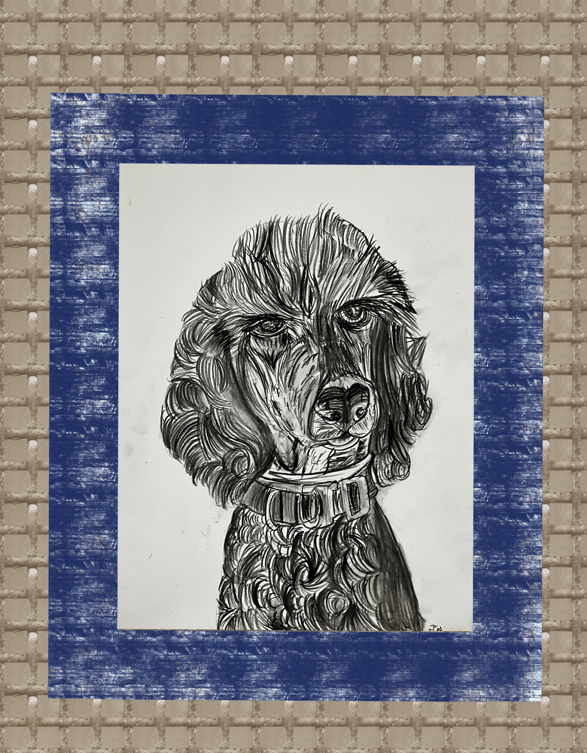 Poodle Dog Portrait