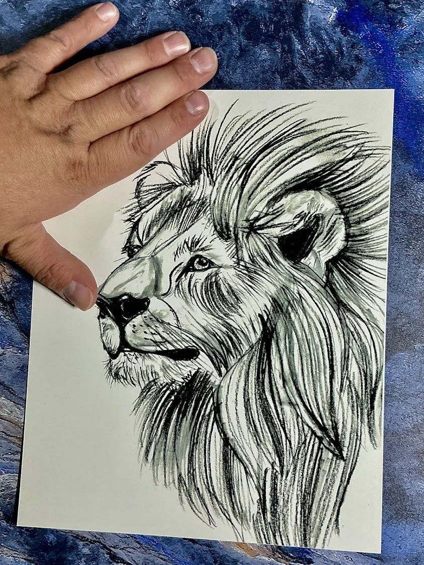 IMG_8553.jpg