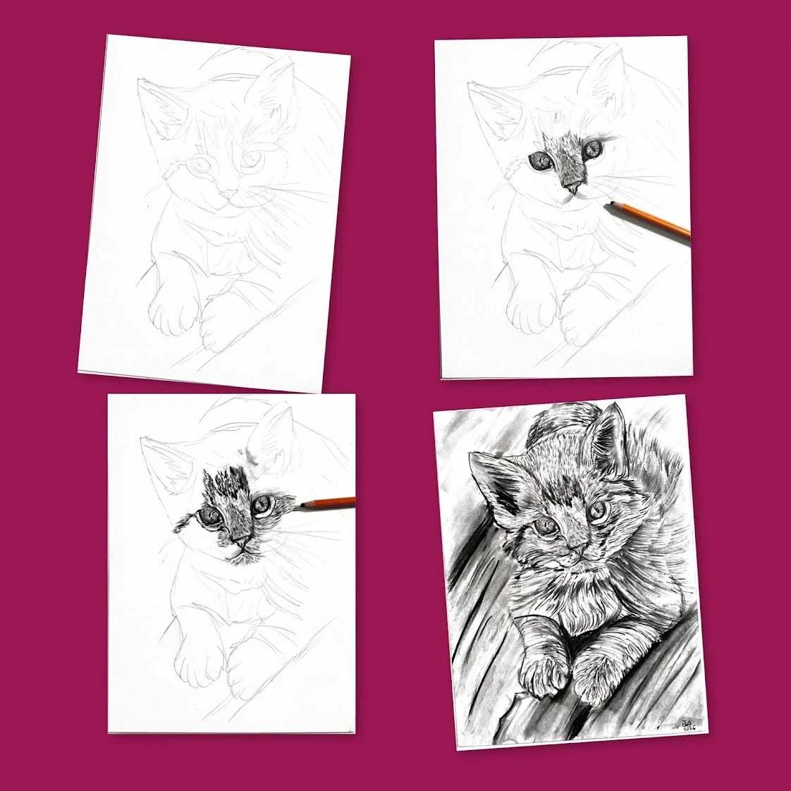 Charming Kitten Charcoal Drawing