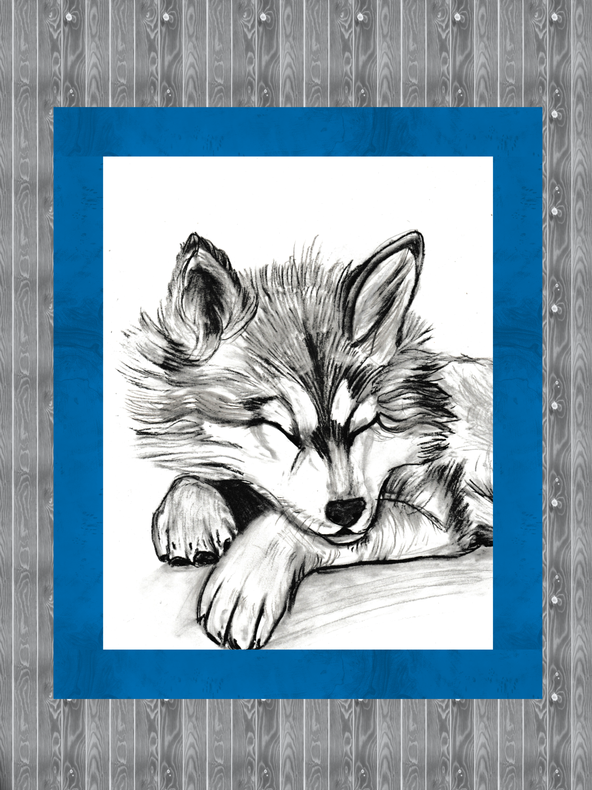IMG_7956.png