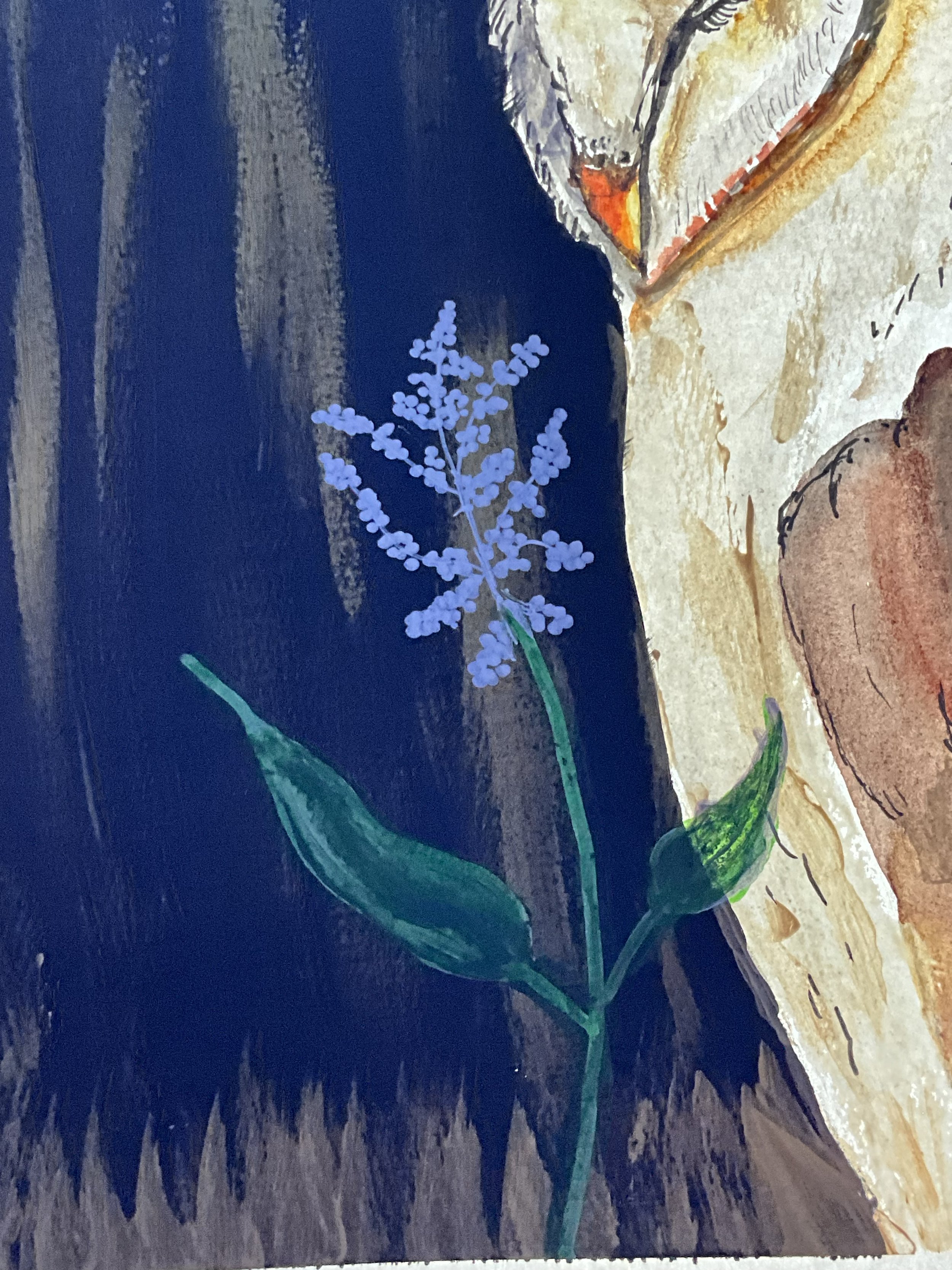 IMG_7086.jpeg