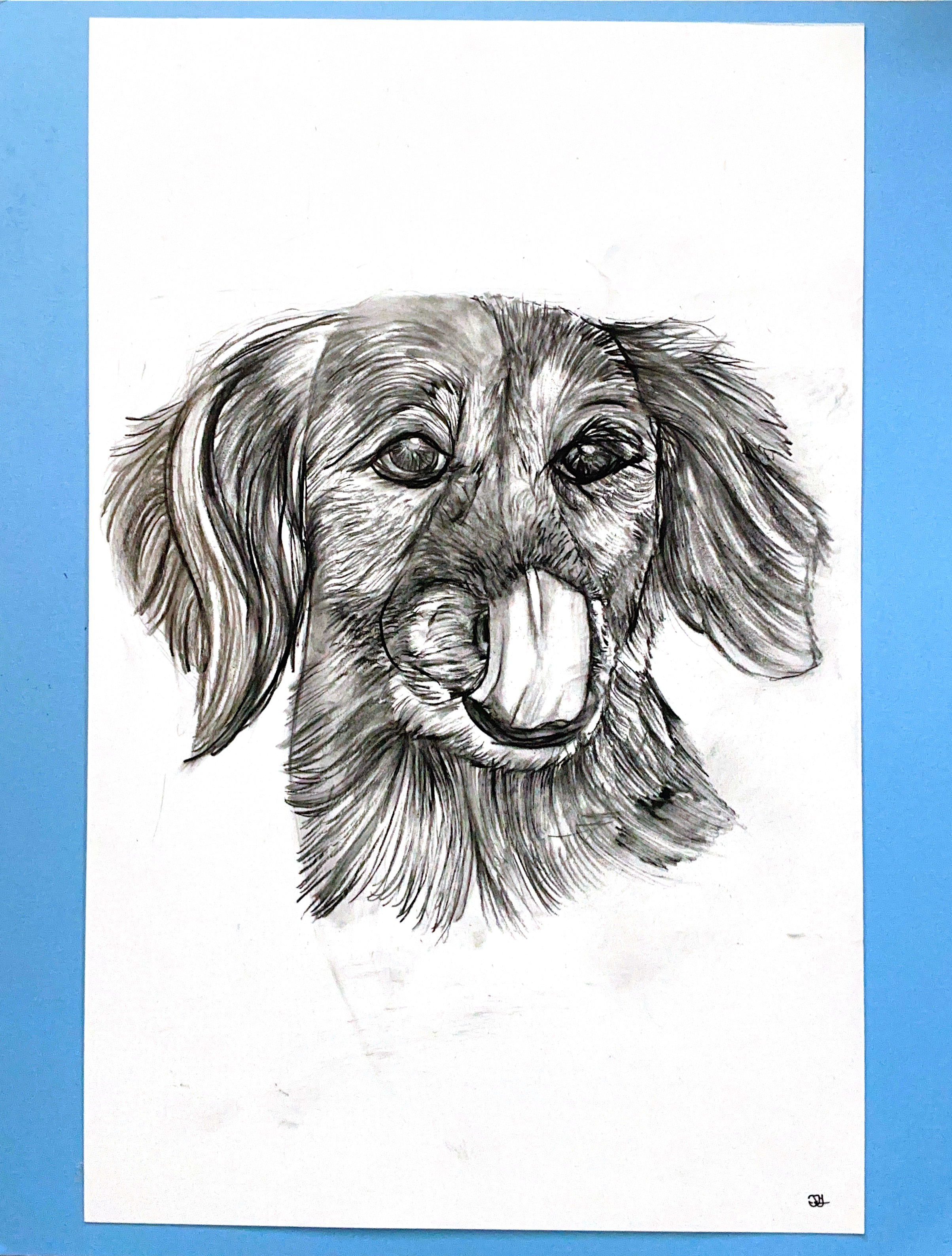 Funny Dog Charcoal Portrait – 11×17 Hand-Drawn Retriever
