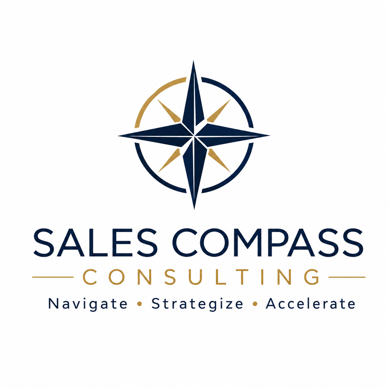 Sales Compass Consulting, electric marine and air mobility.