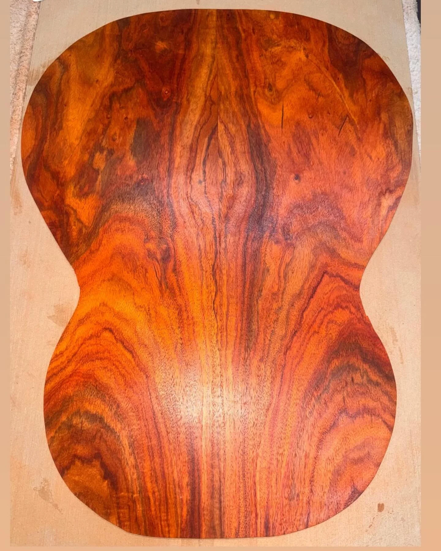 Evan is building a concert classical in my guitar building course. It will be a small body classical built in traditional Spanish style, using fan bracing and an integrated heel. 

With an Engelmann spruce top and using a beautiful Burmese padauk bac