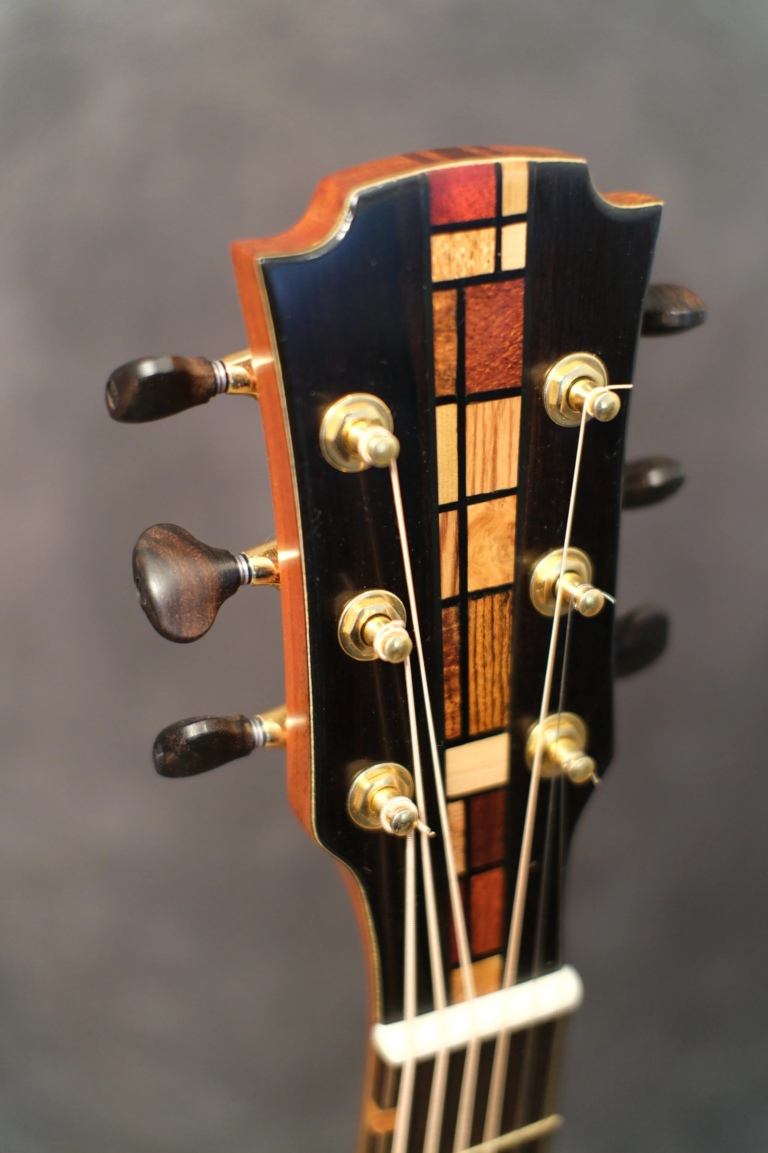 Mountain Art Guitars - Student Build