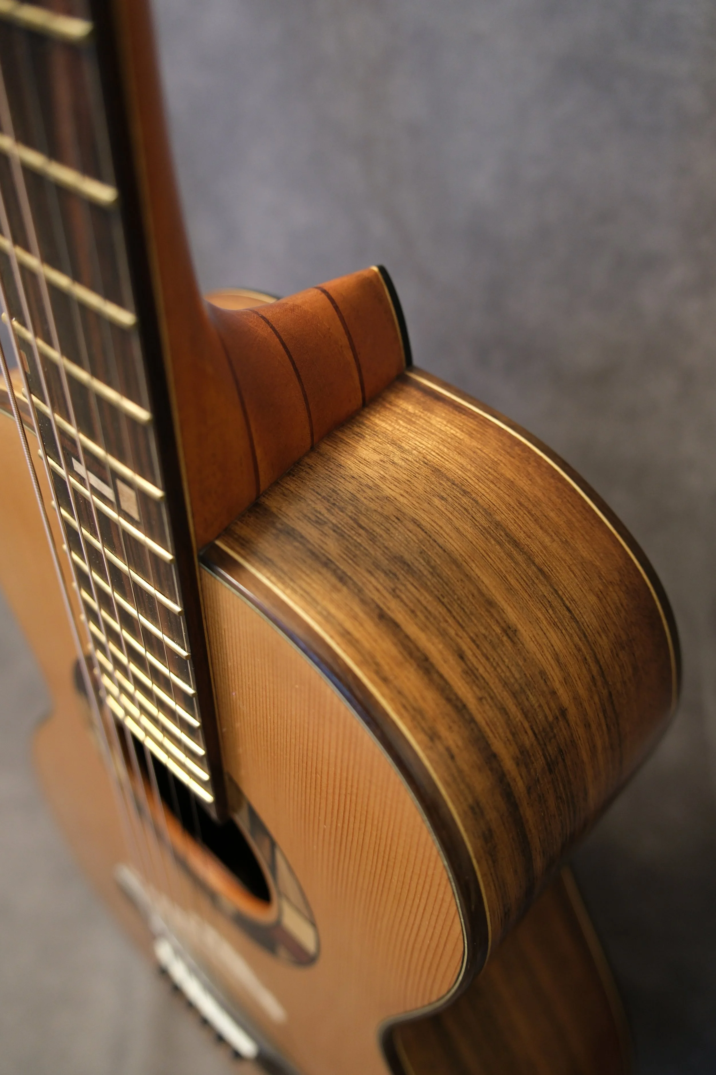 Mountain Art Guitars - Student Build