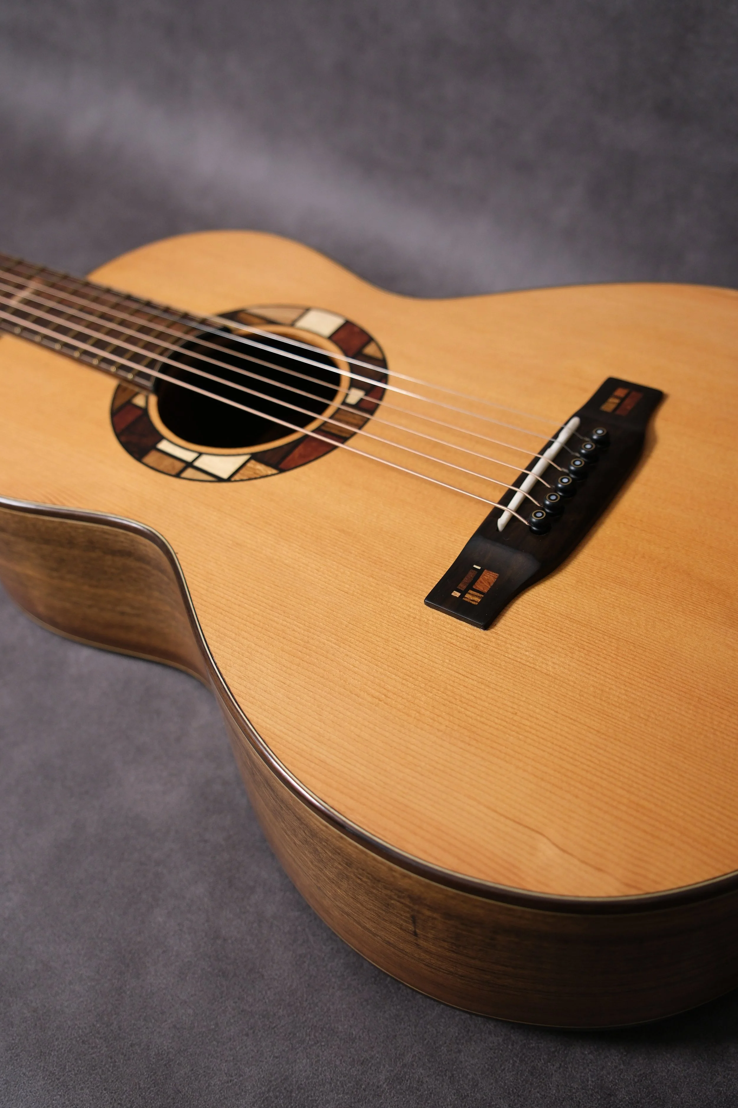 Mountain Art Guitars - Student Build