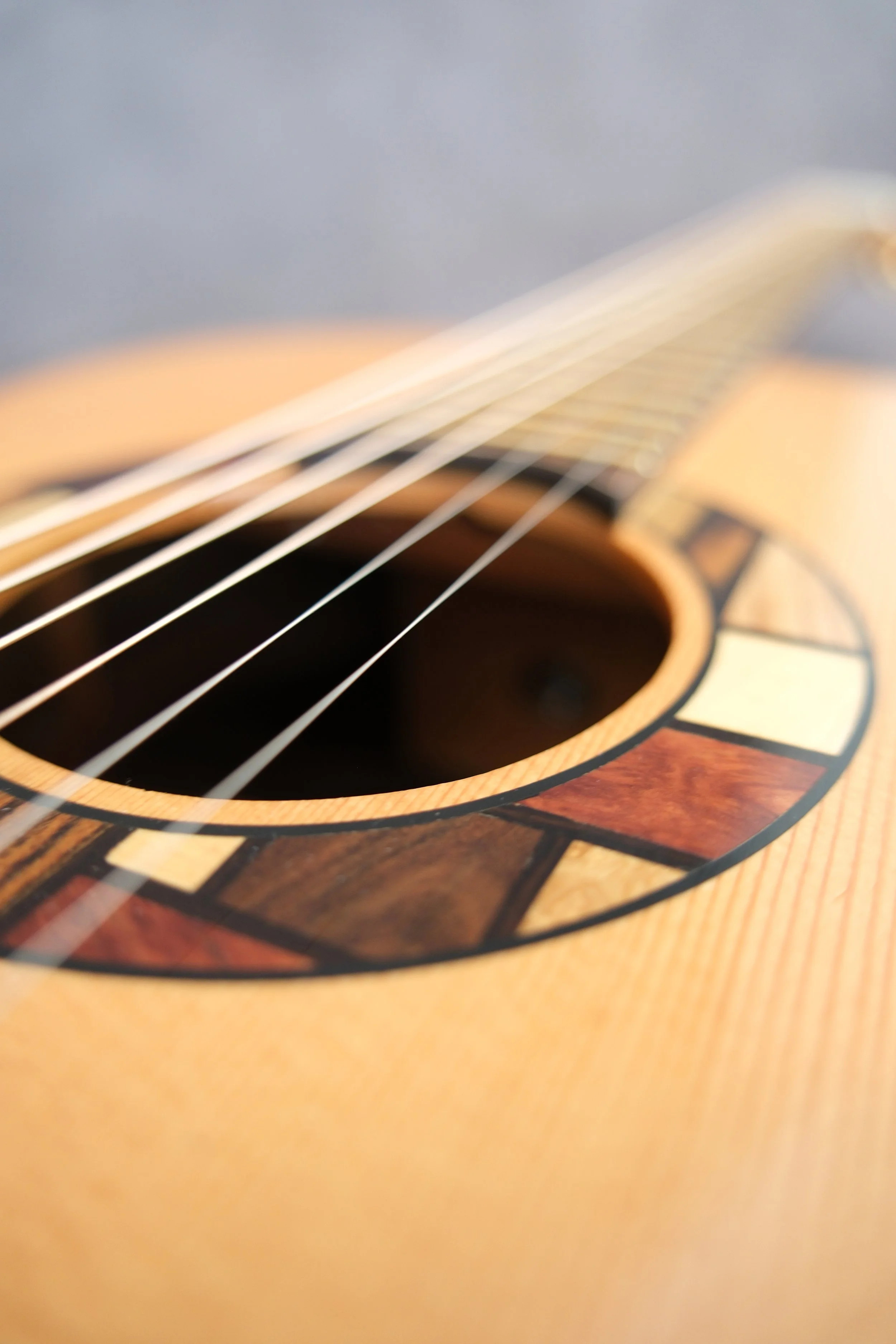 Mountain Art Guitars - Student Build