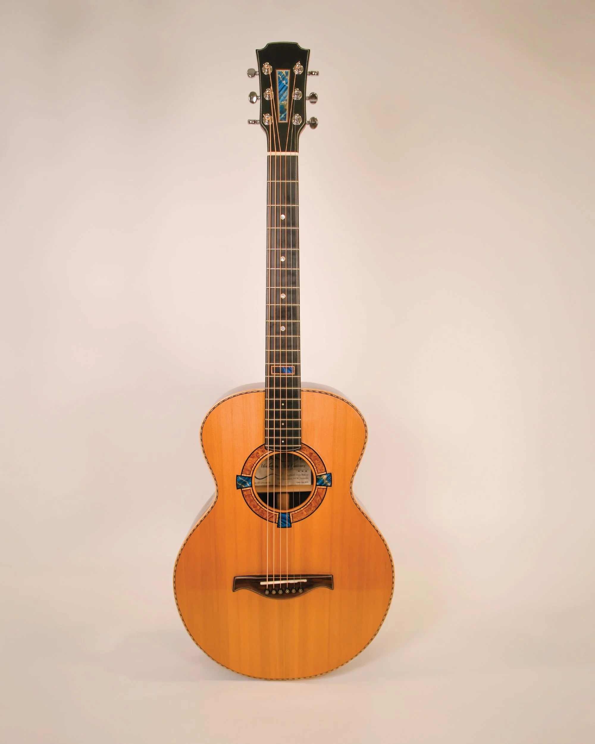 Custom Build Blues Mountain Guitar