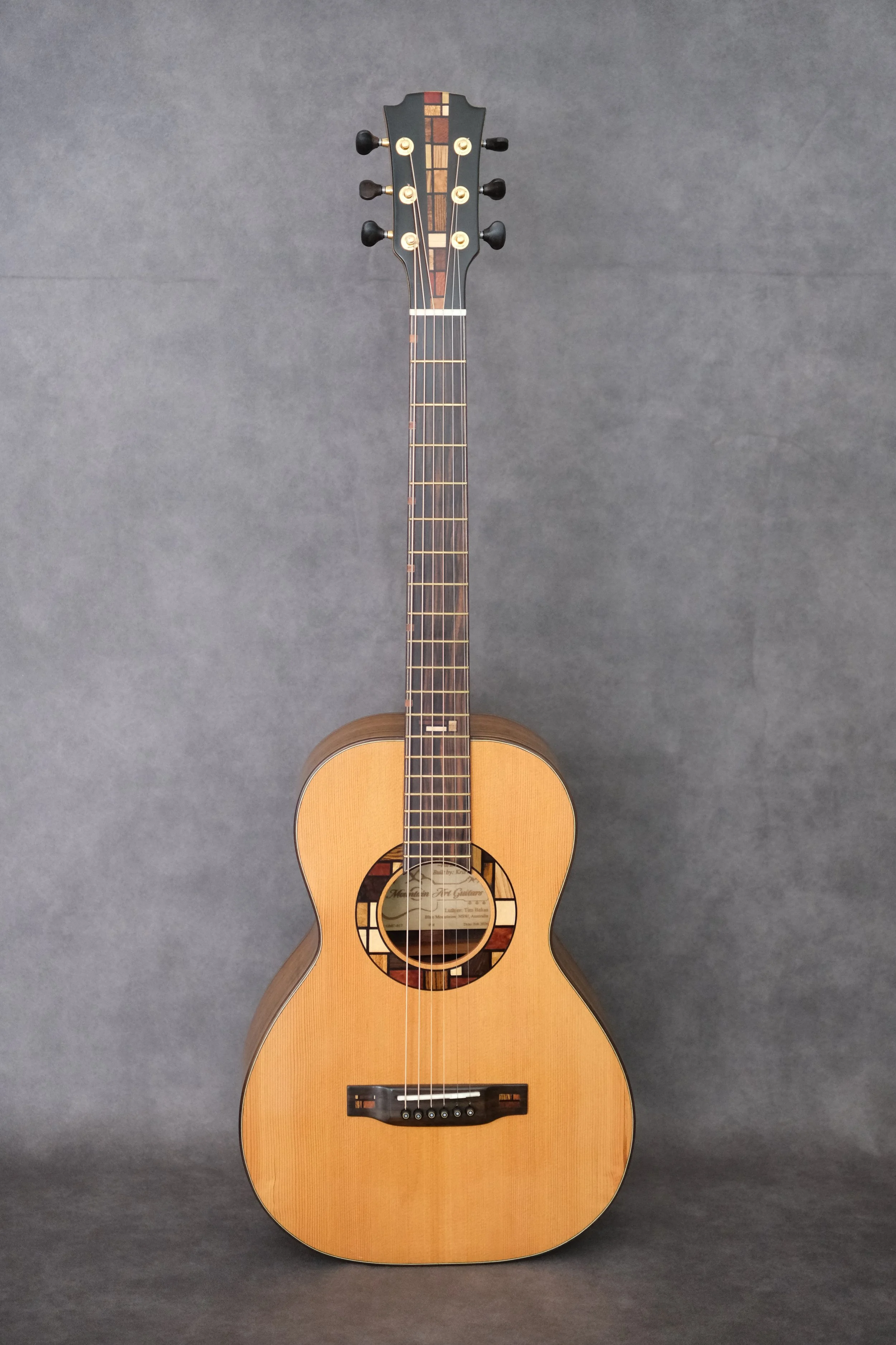 Mountain Art Guitar - Student Build