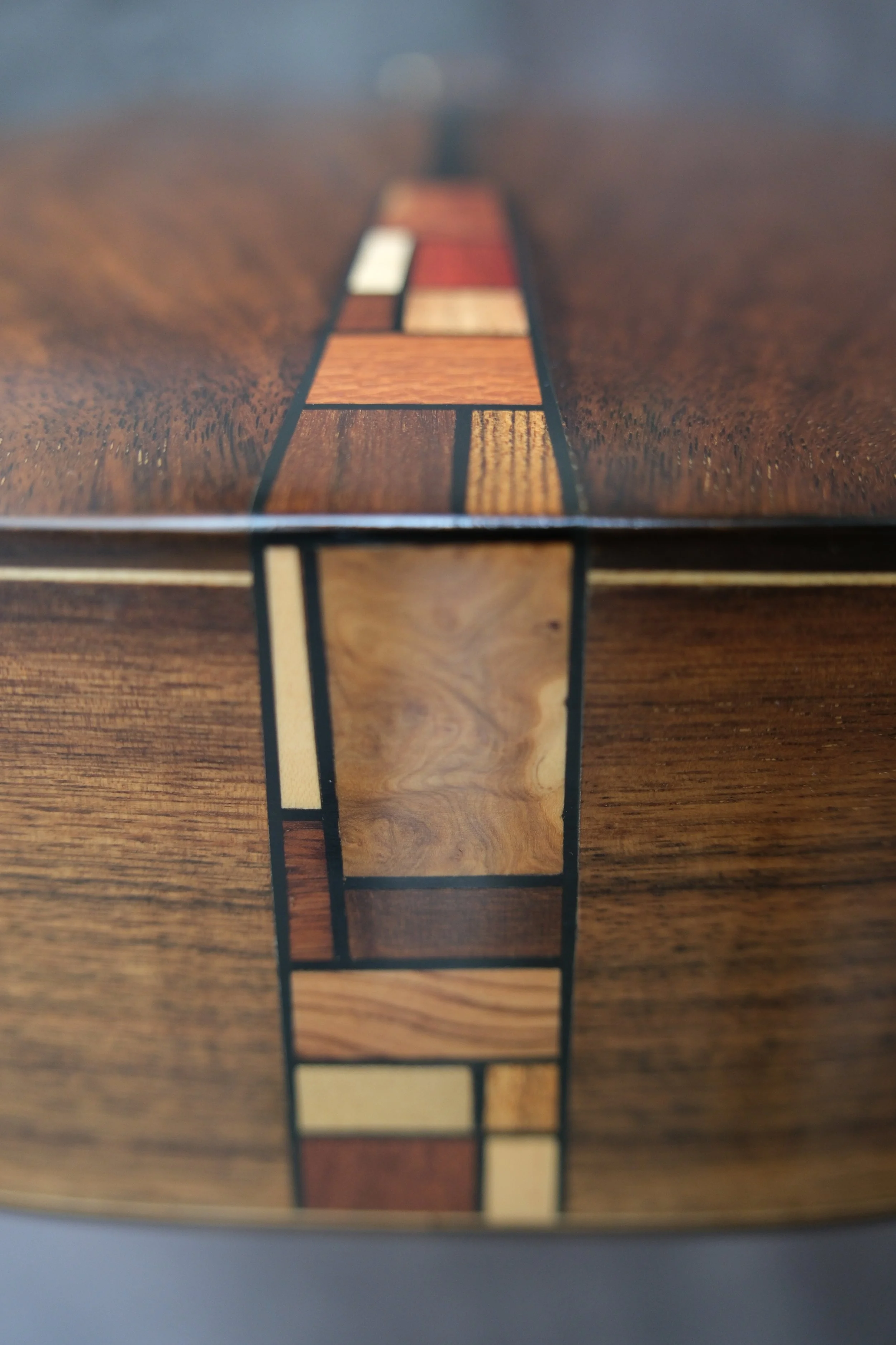 Mountain Art Guitars - Student Build