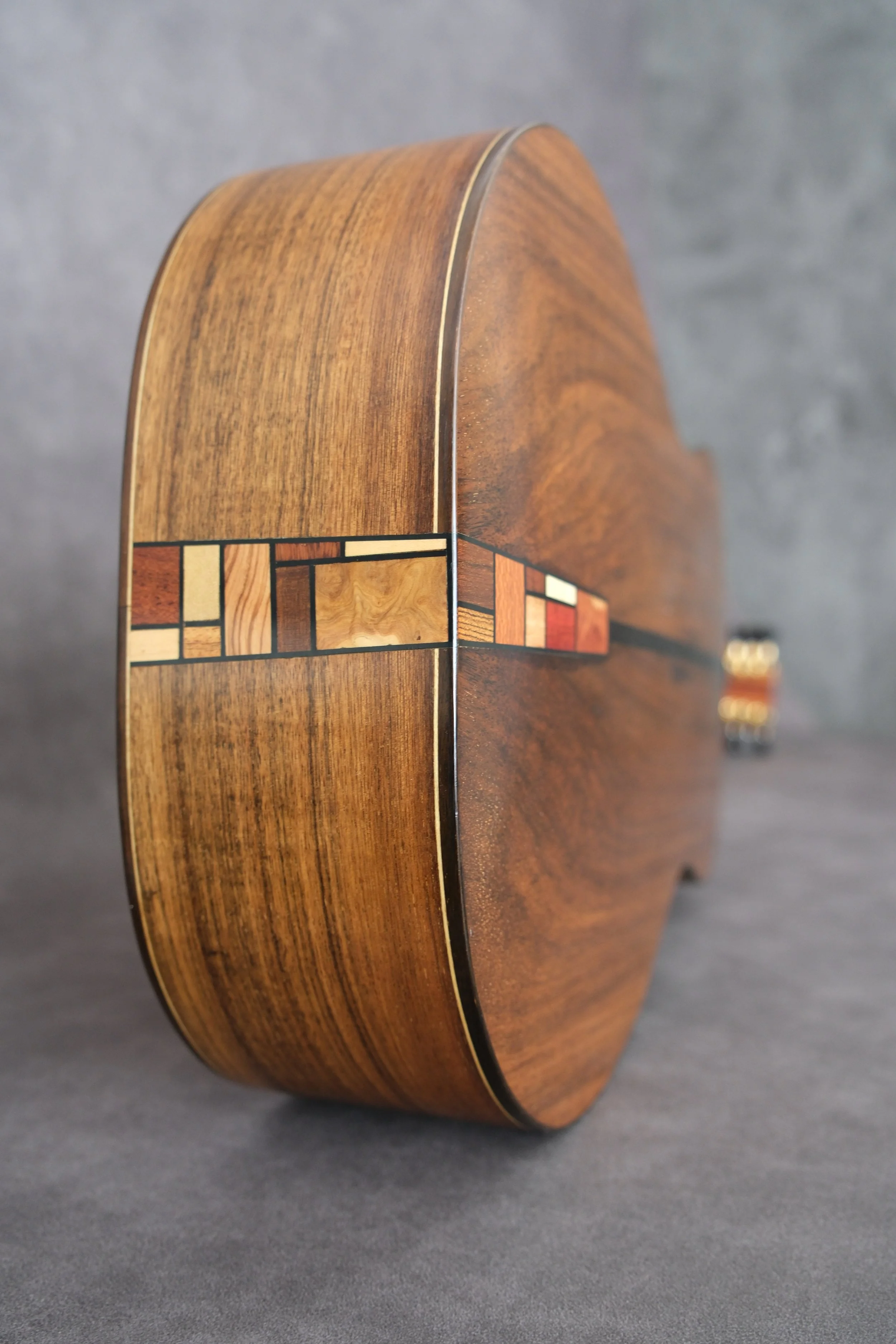 Mountain Art Guitars - Student Build