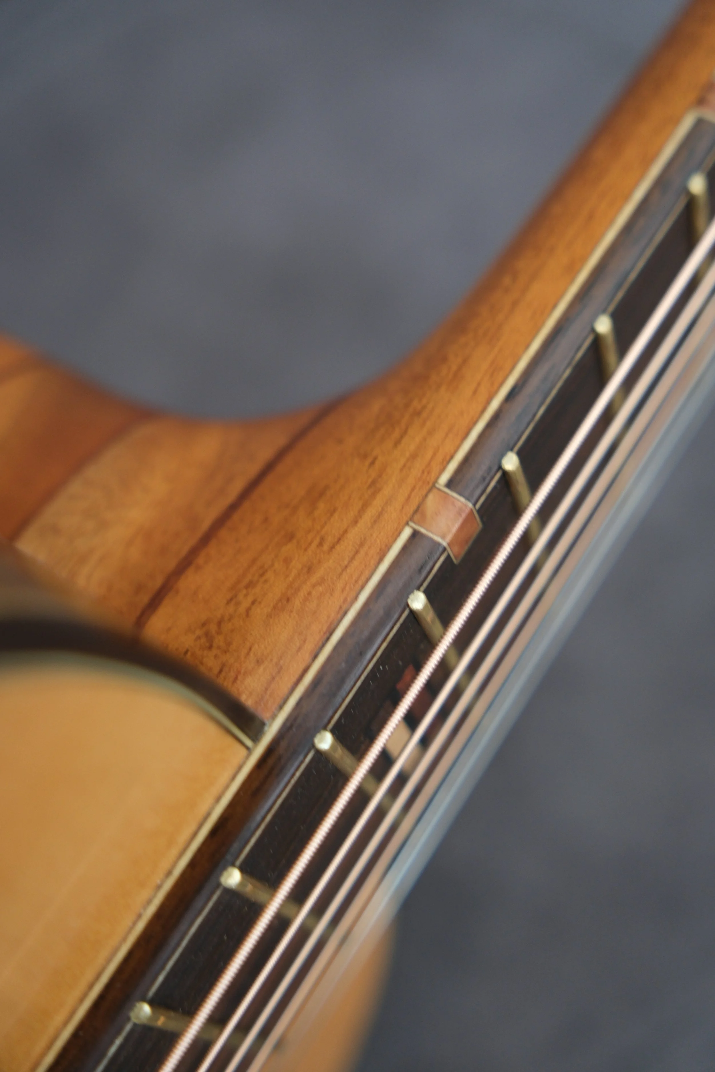 Mountain Art Guitars - Student Build