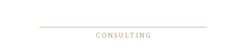 Amadeus Consulting